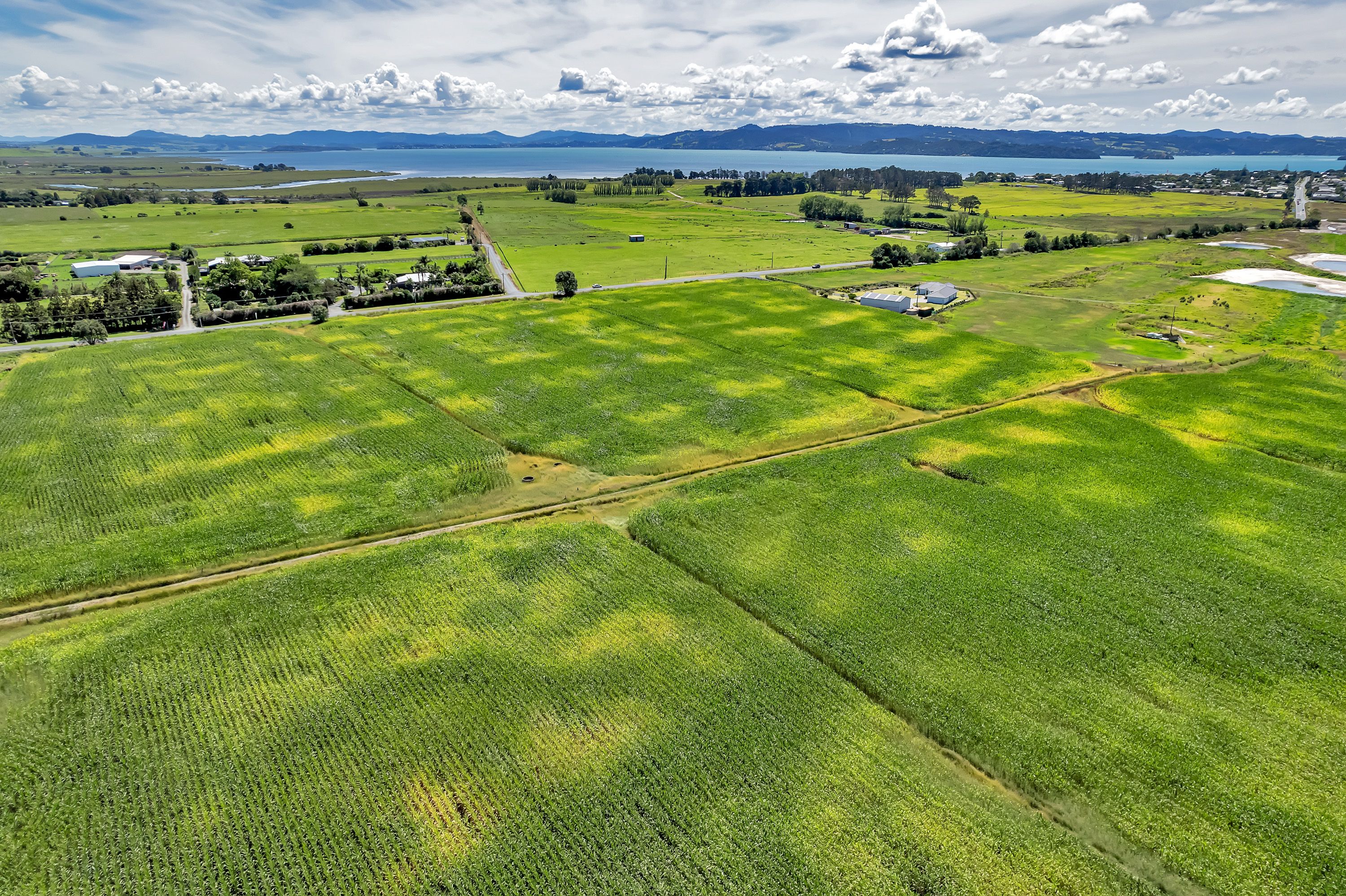 637 One Tree Point Road, Ruakaka, Whangarei District 0116 Commercial