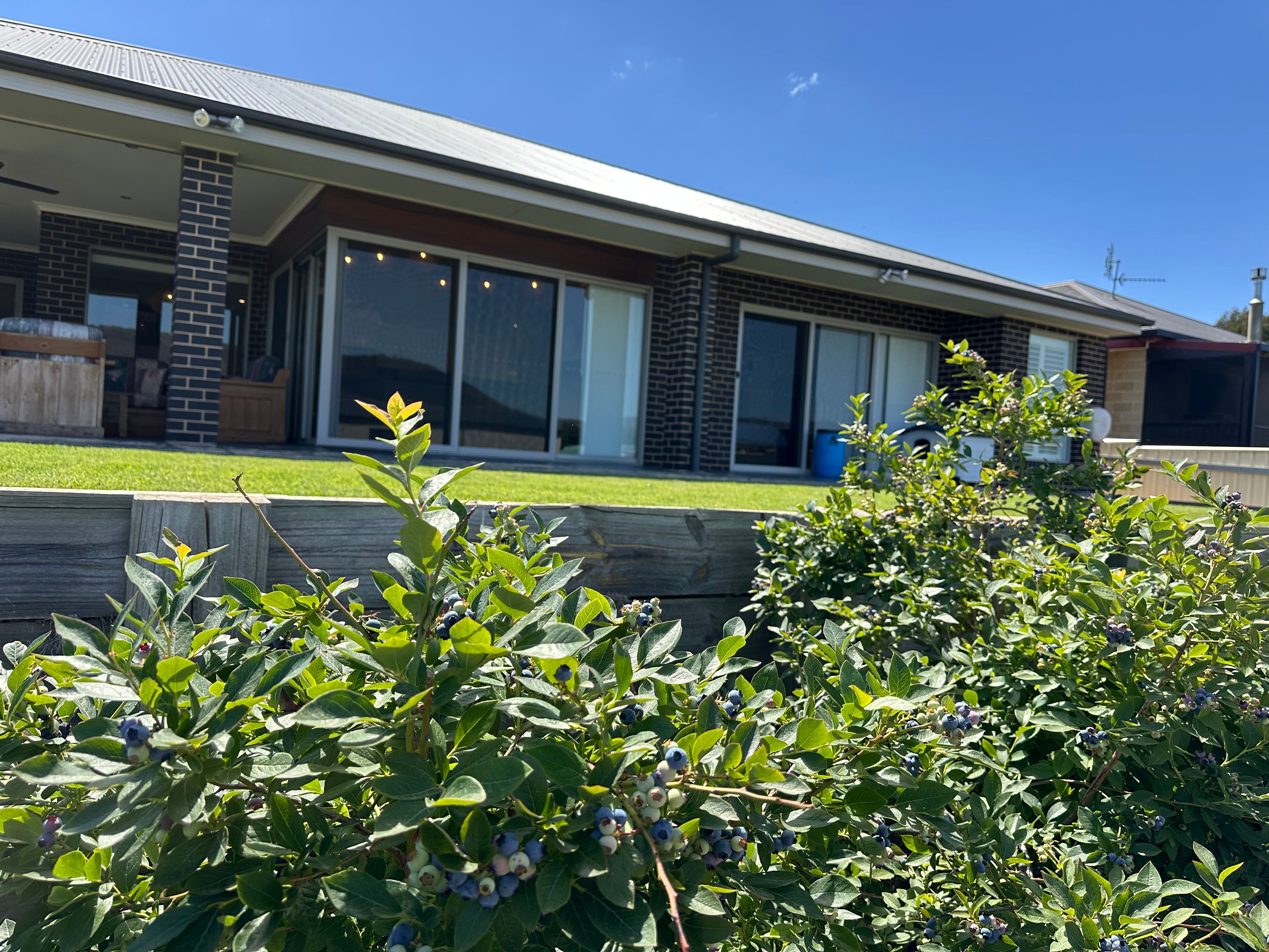 23 Langland Street — photo 17 of 19