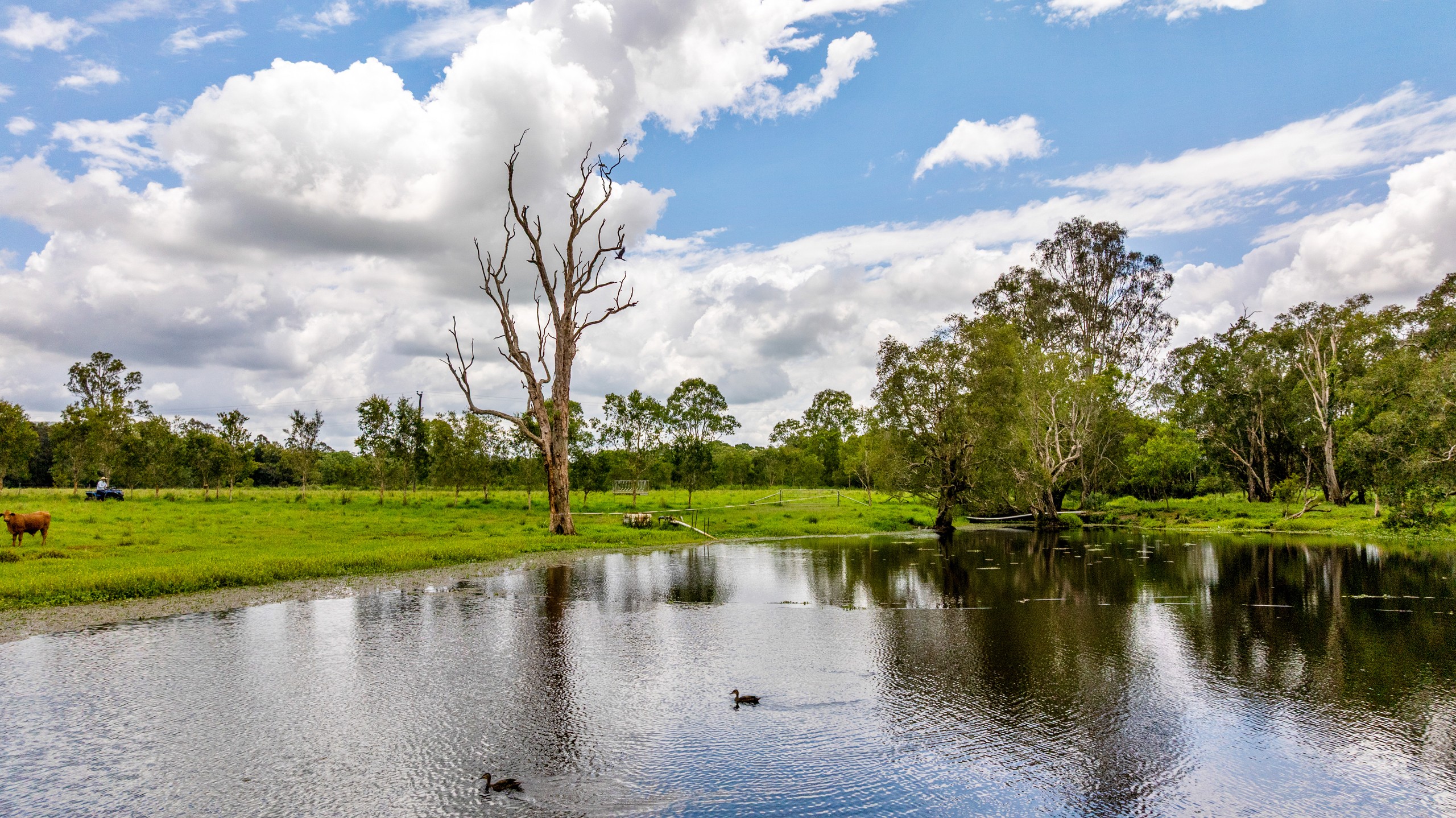 6 Canando Street, Woodford, QLD 4514