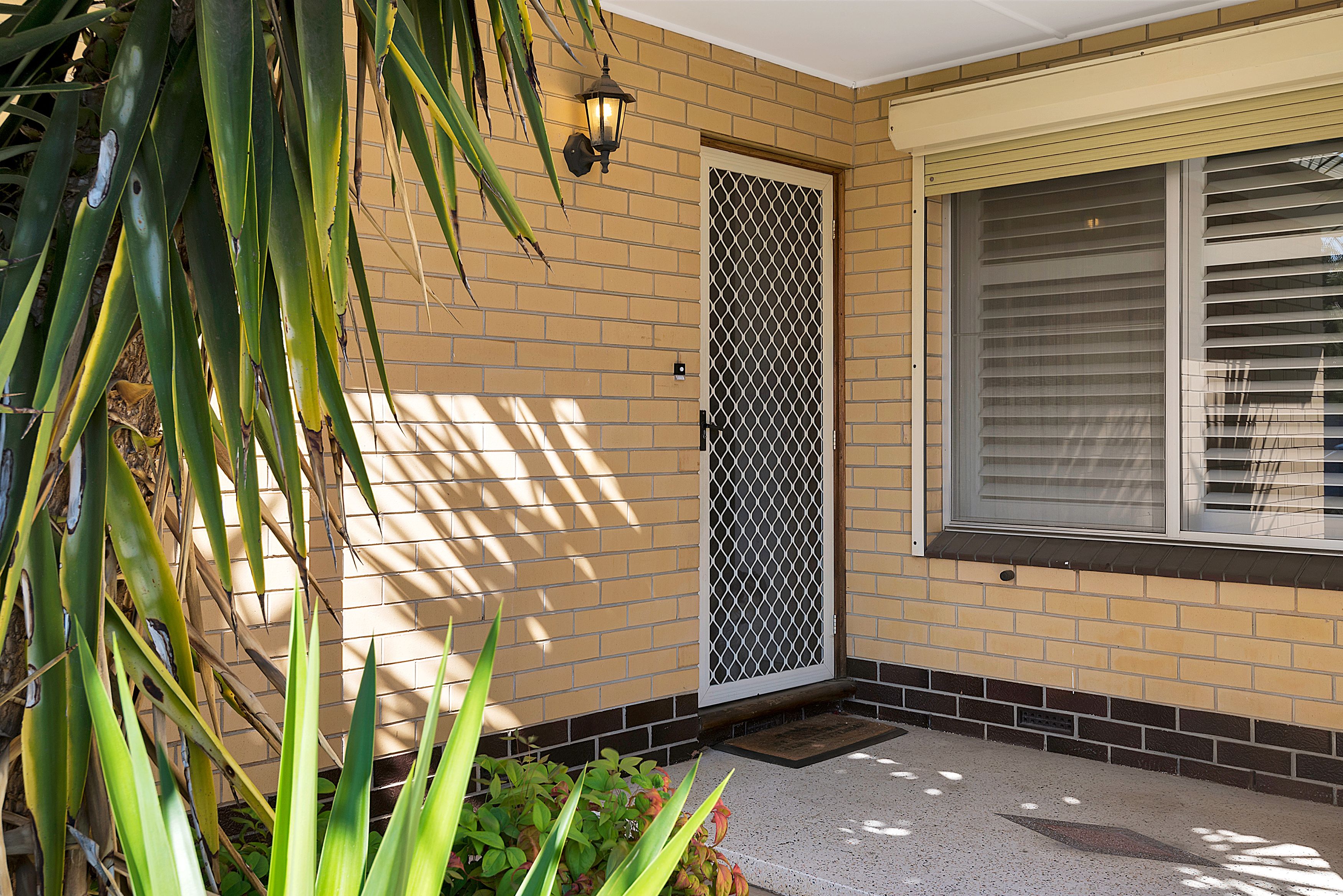104 Palm Avenue, Royal Park, SA 5014
