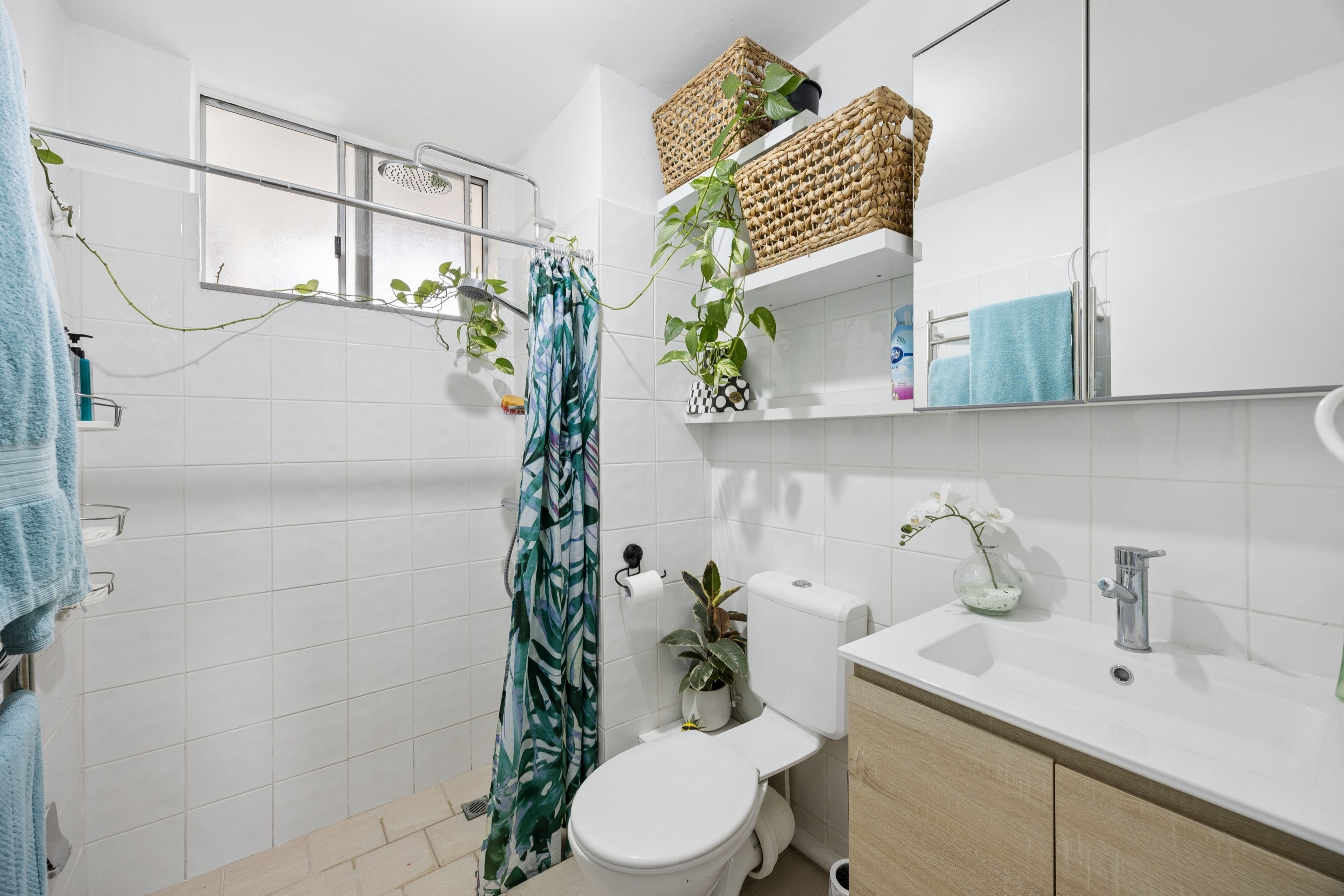 12b/159 Hector Street — photo 11 of 20
