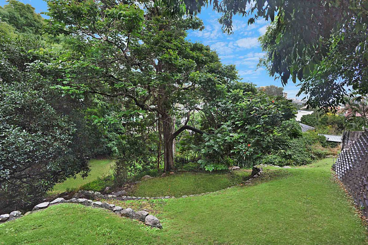 50 Markwell Street, Hamilton, QLD 4007