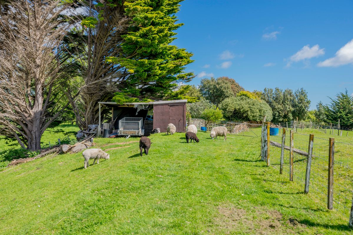 57 Peka Peka Road, Peka Peka, Kapiti Coast District