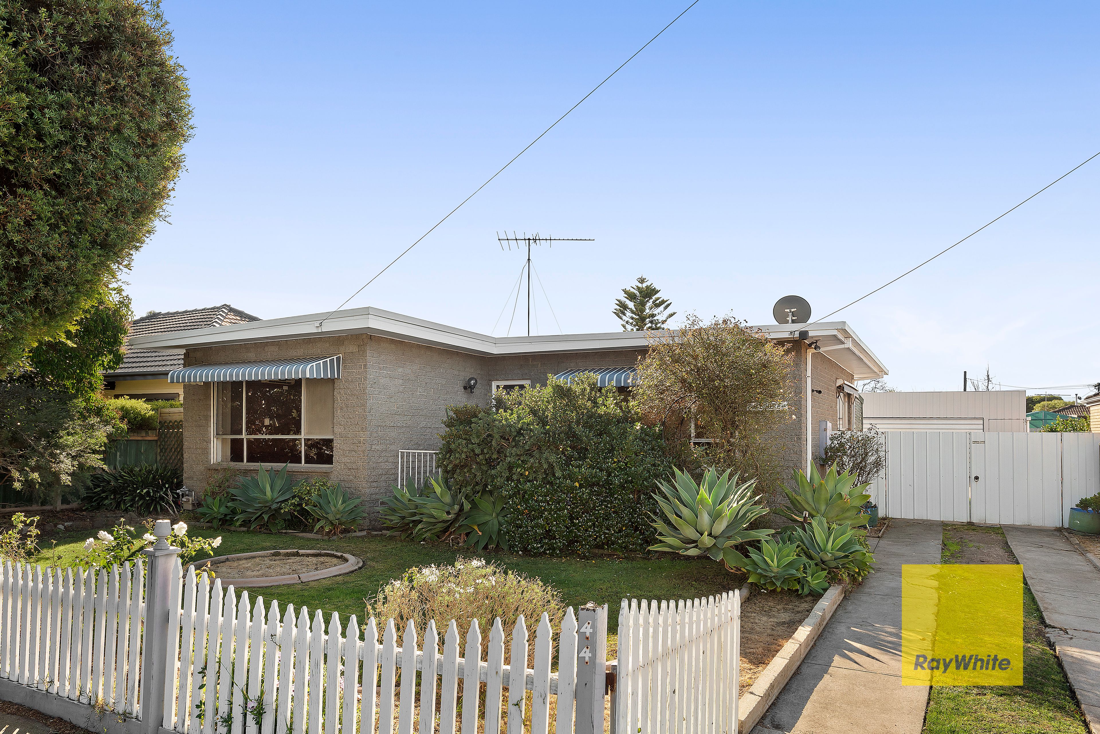 44 Summit Avenue, Belmont VIC 3216