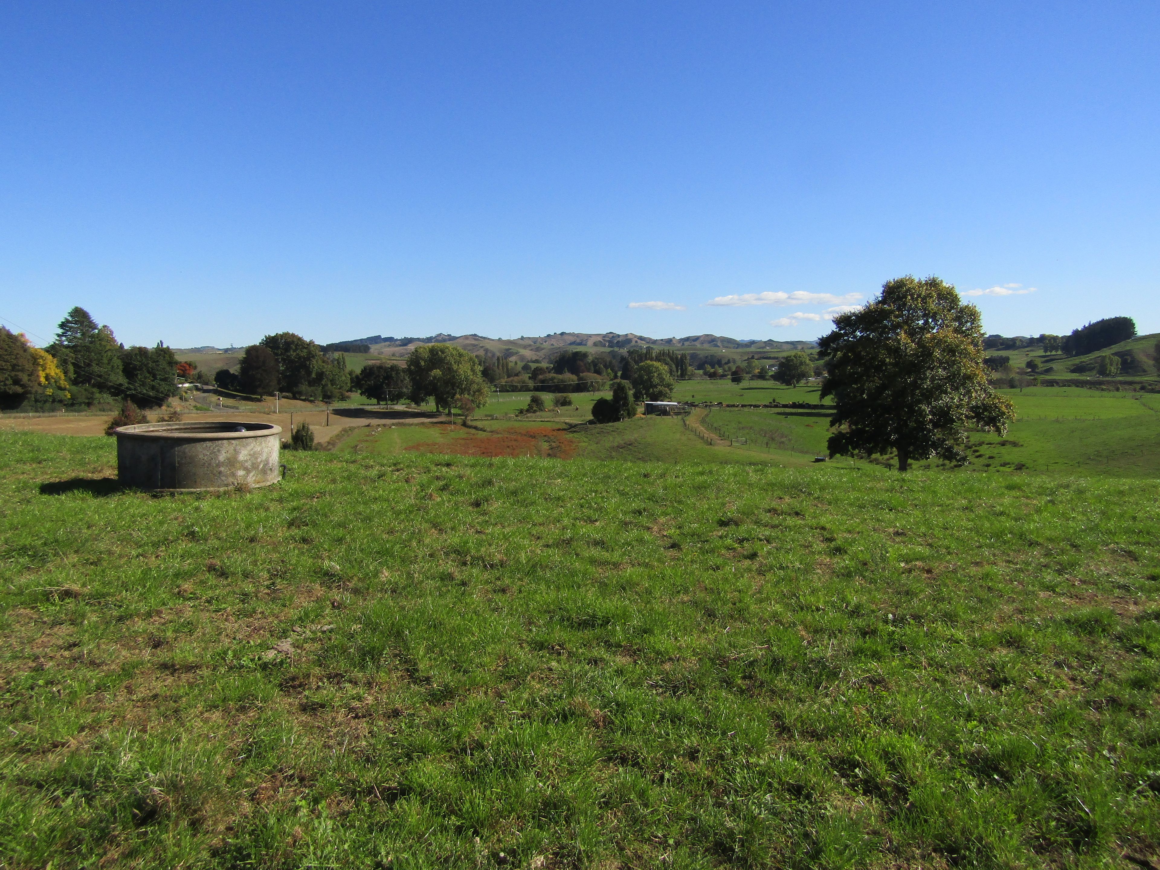 0 Te Kawa Road, Lot 5, Te Awamutu, Waipa District