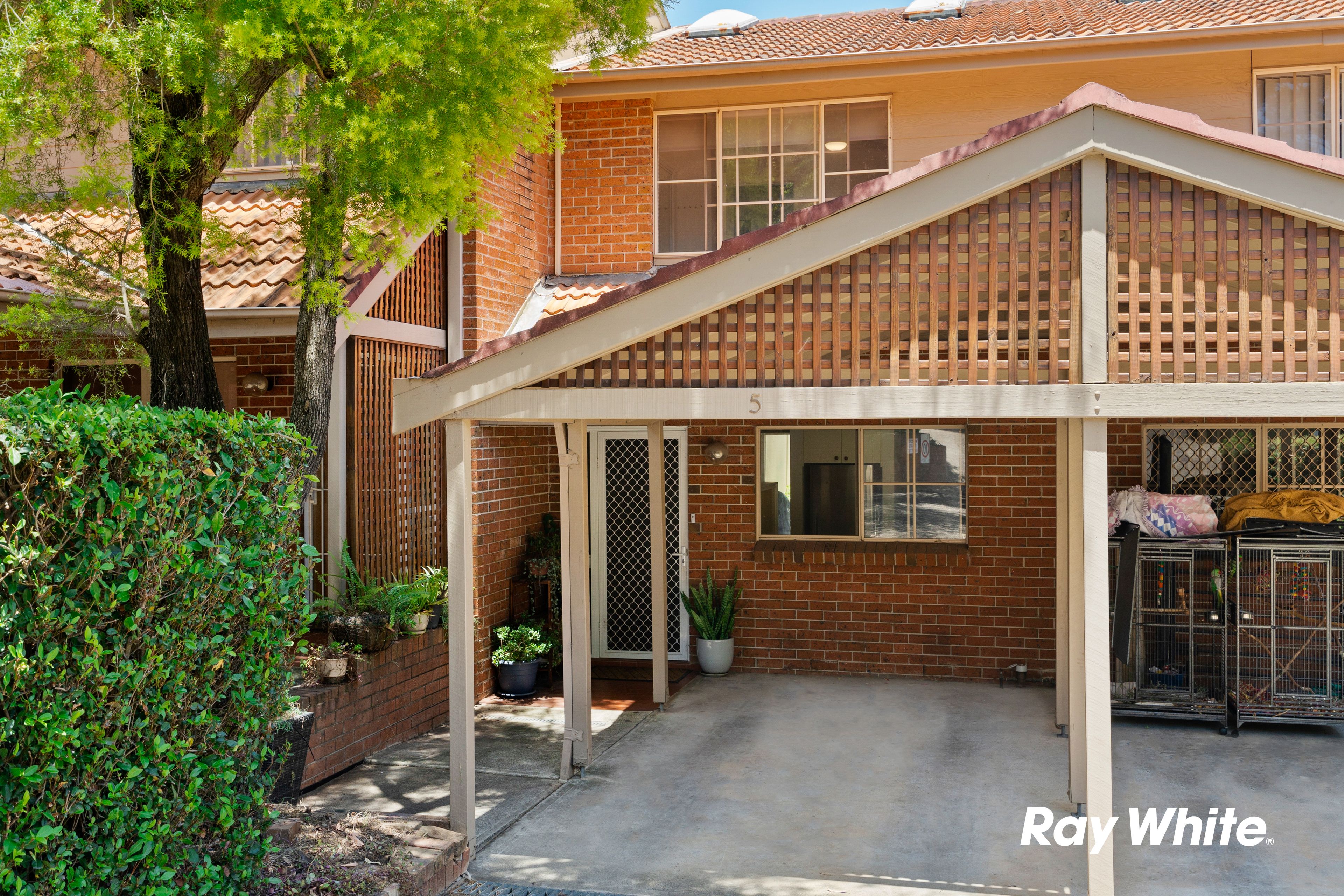 19 Torrance Crescent, Quakers Hill NSW 2763