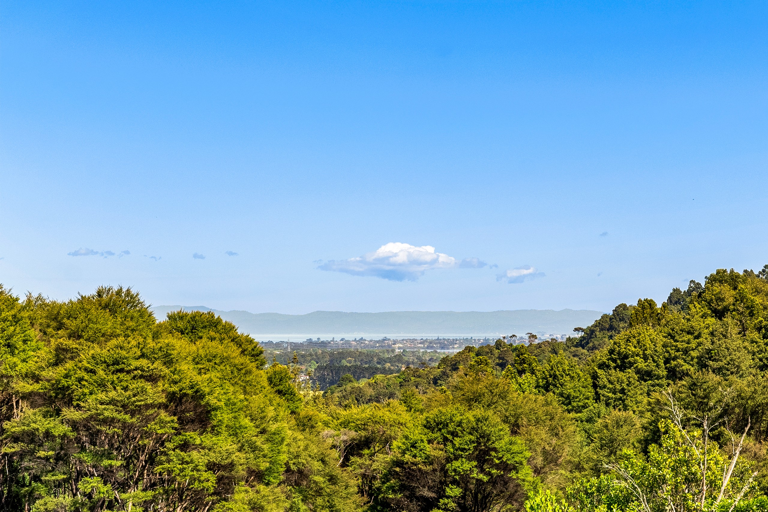 78 Judge Richardson Drive, Drury, Papakura