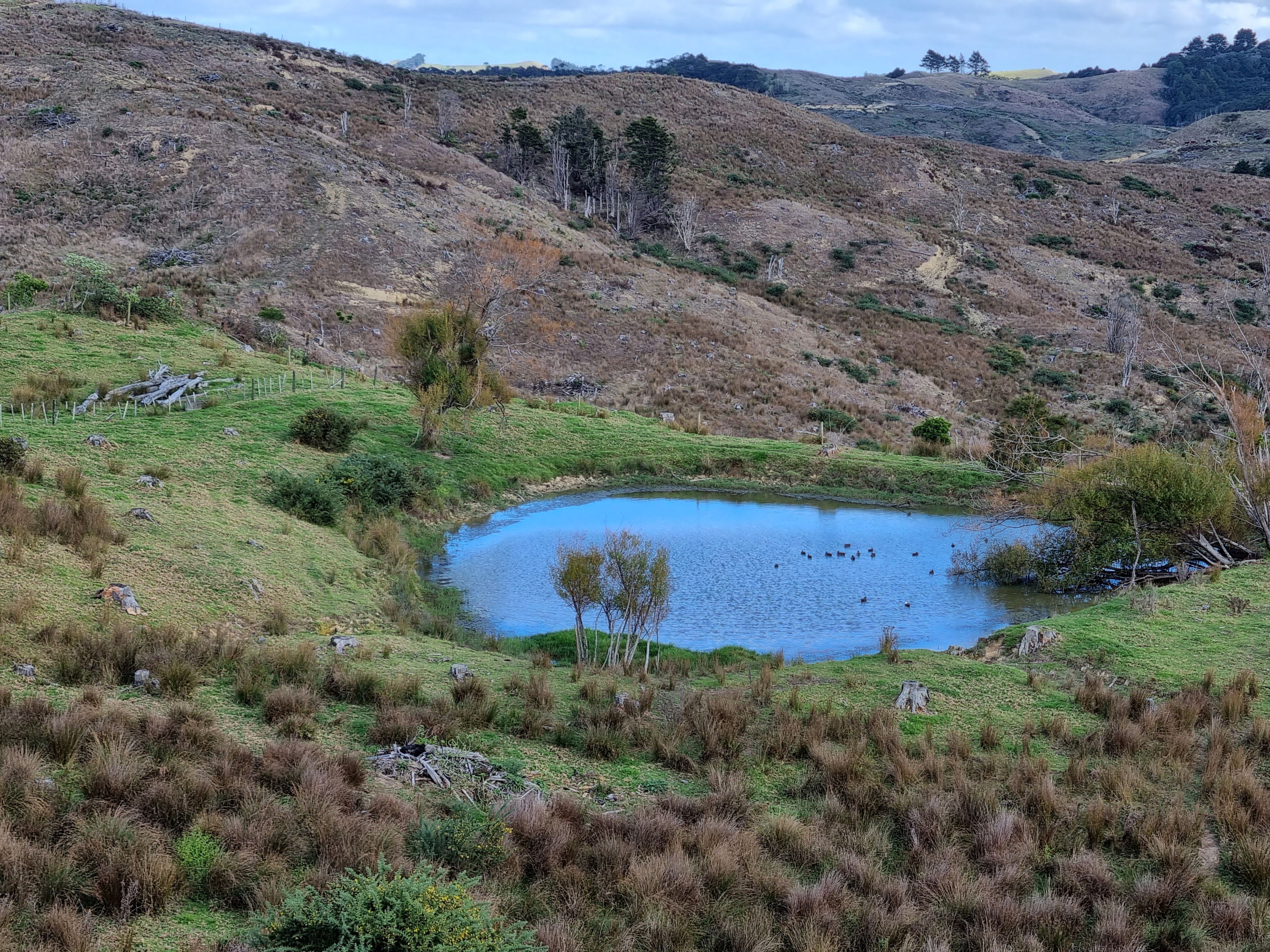 Lot 3/600 Bickerstaffe Road, Maungaturoto, Kaipara District