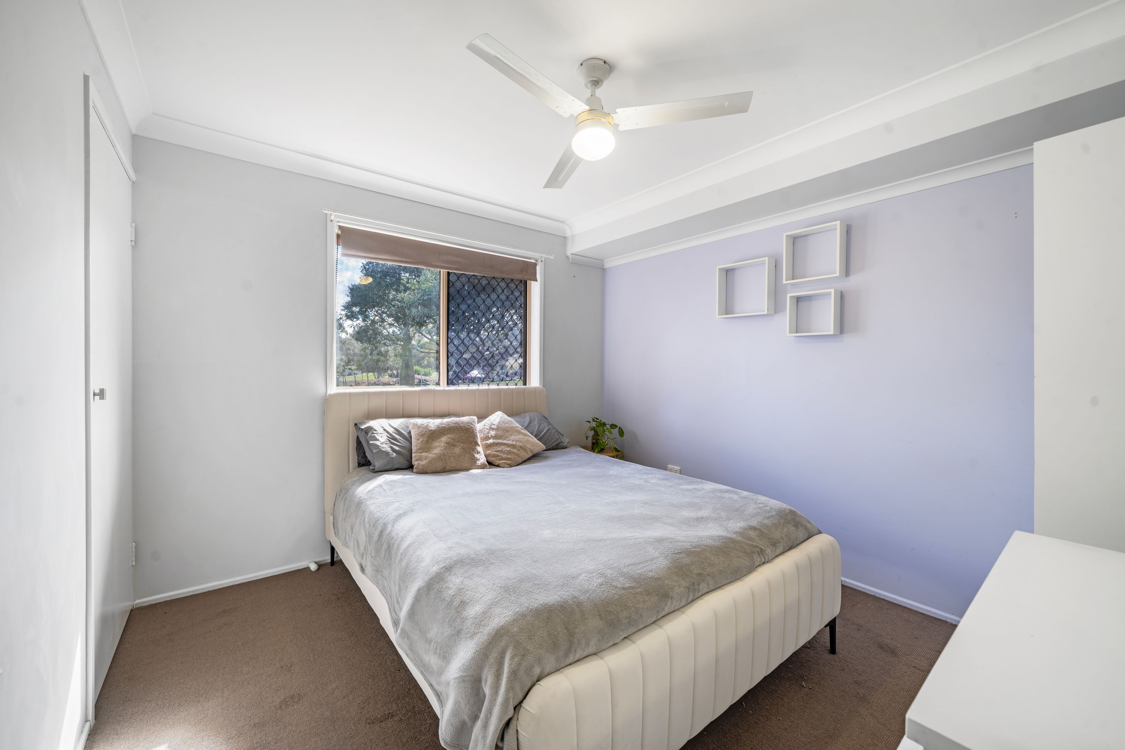 6 Catherine Crescent — photo 18 of 26