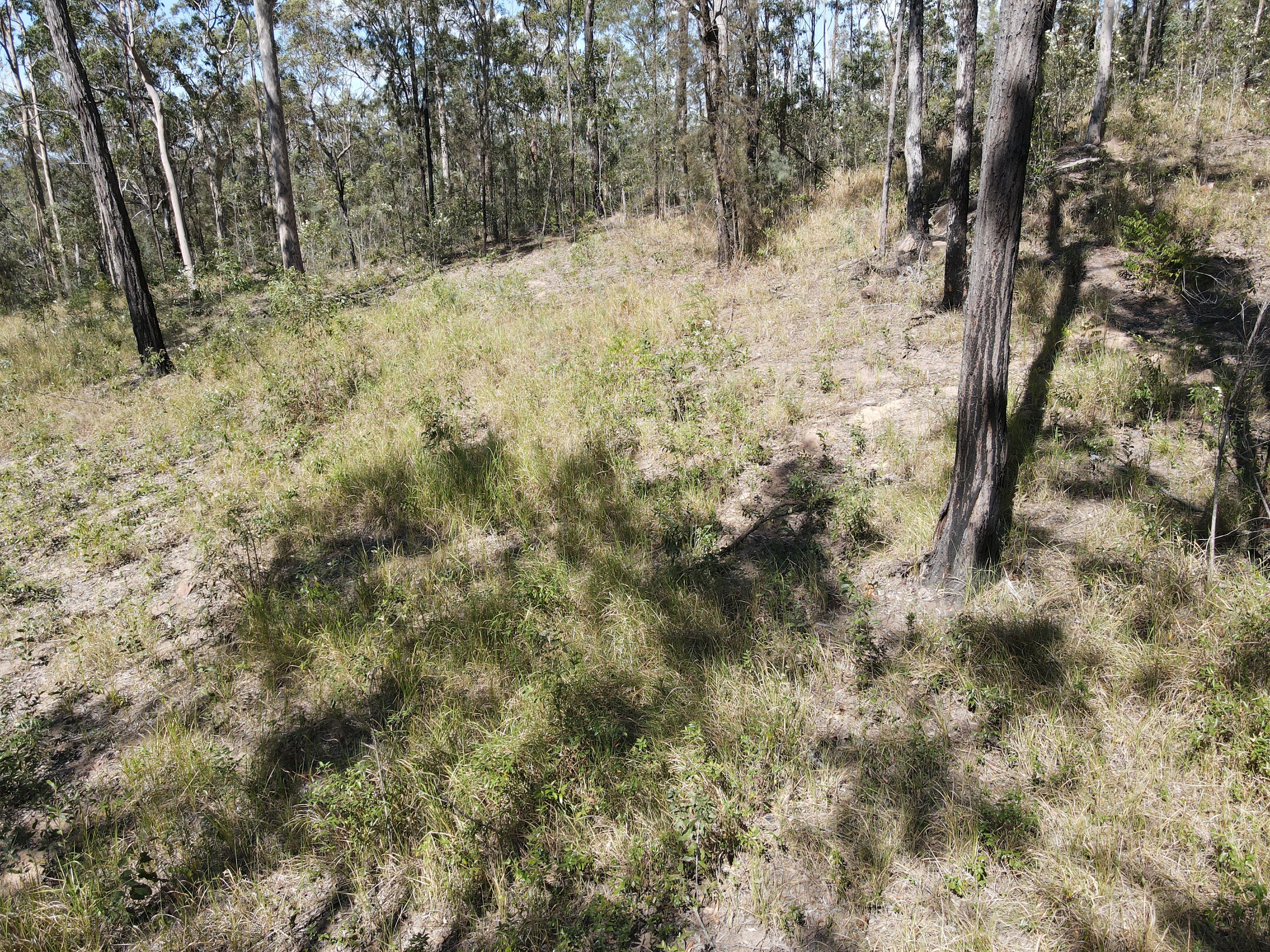 428 Bruxner Road — photo 16 of 18