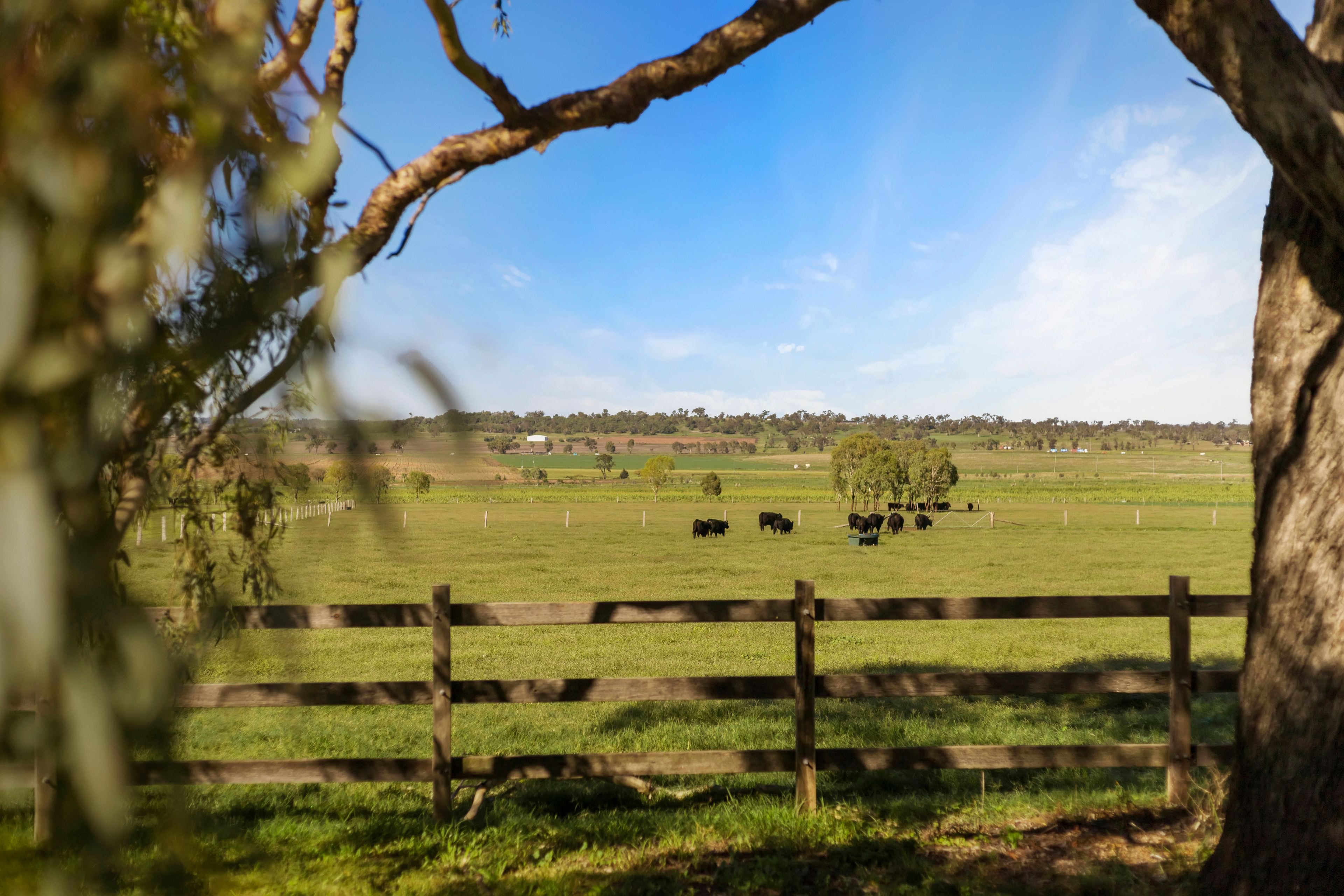 360 4AK Road, Kingsthorpe QLD 4400