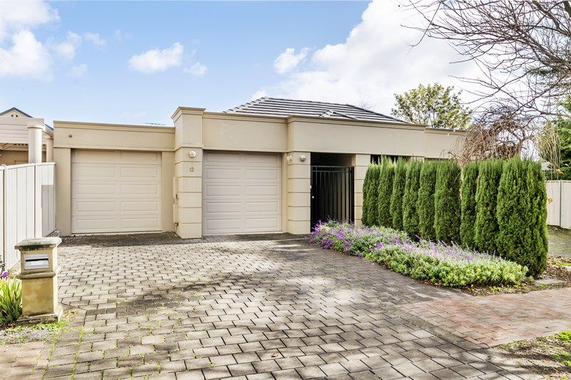 12 Rostrevor Avenue, Rostrevor, SA 5073