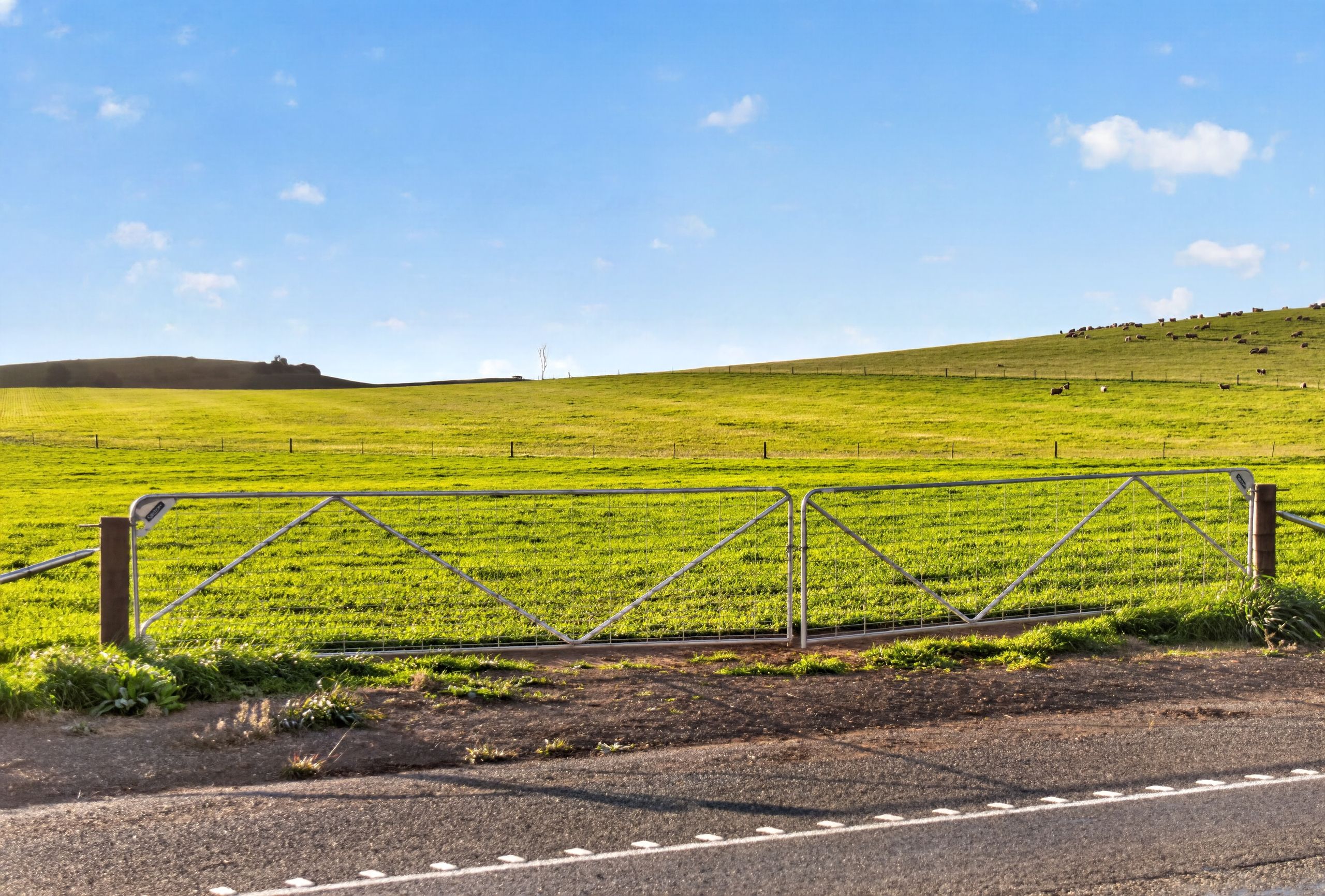 'Eudunda Hill' Thiele Highway — photo 4 of 30