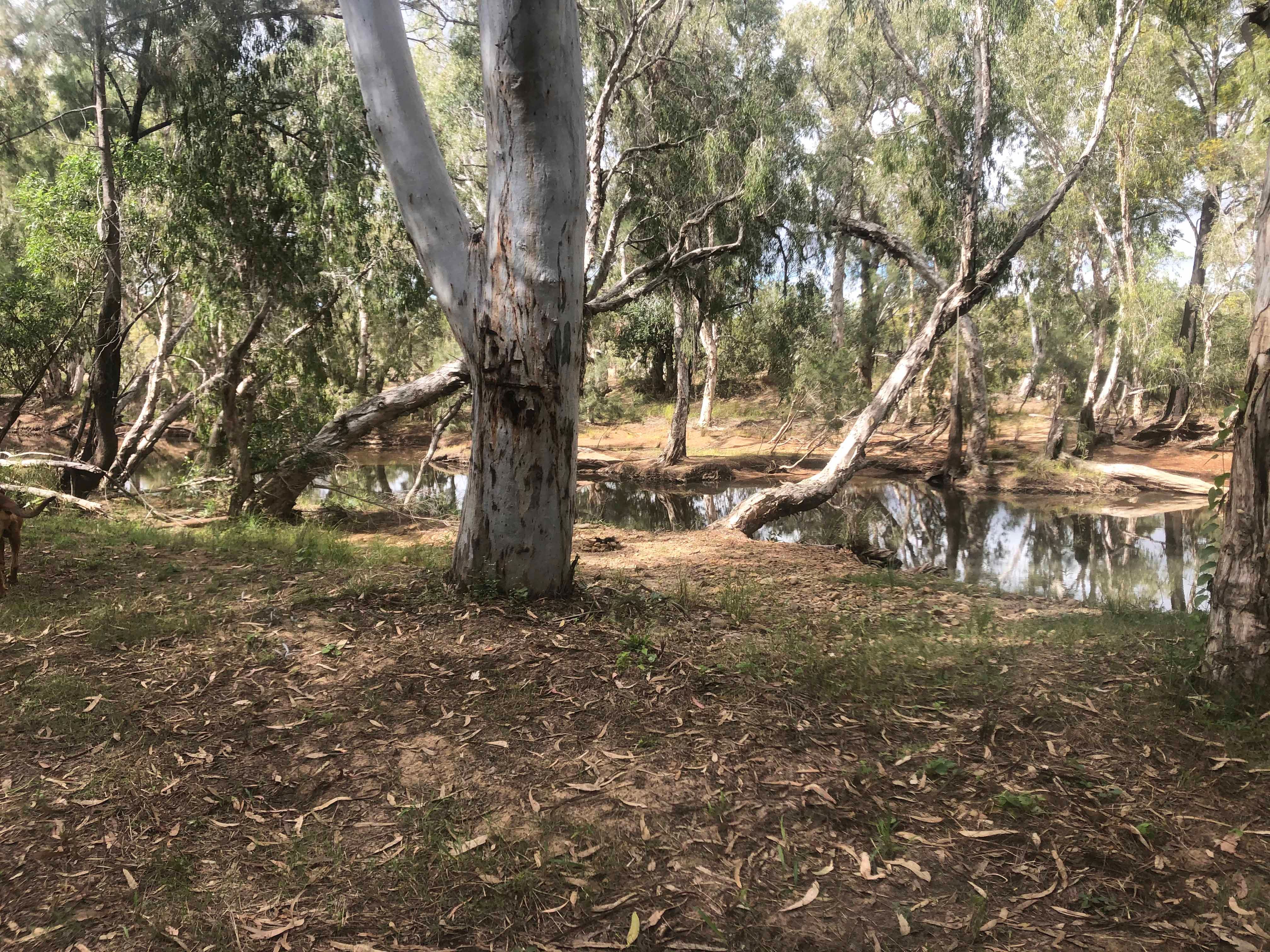 WELL-ESTABLISHED & WAITING — photo 4 of 7