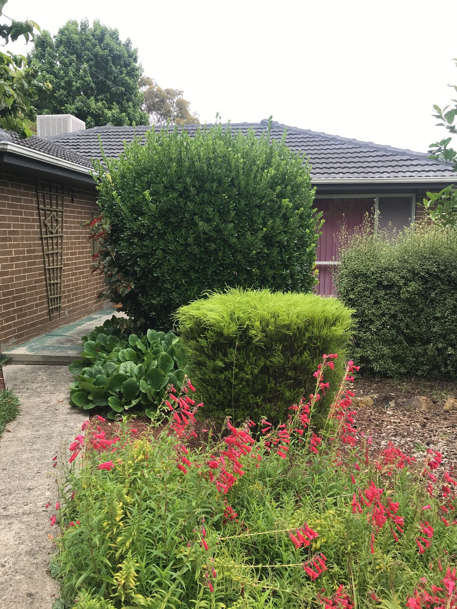 5 Arnold Street, Kilsyth, VIC 3137
