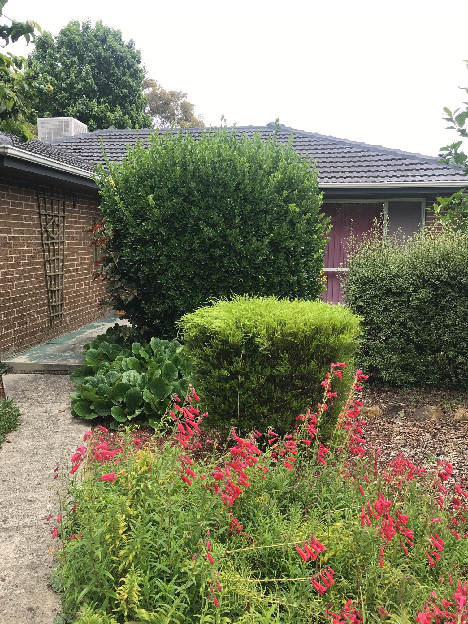 5 Arnold Street, Kilsyth, VIC 3137