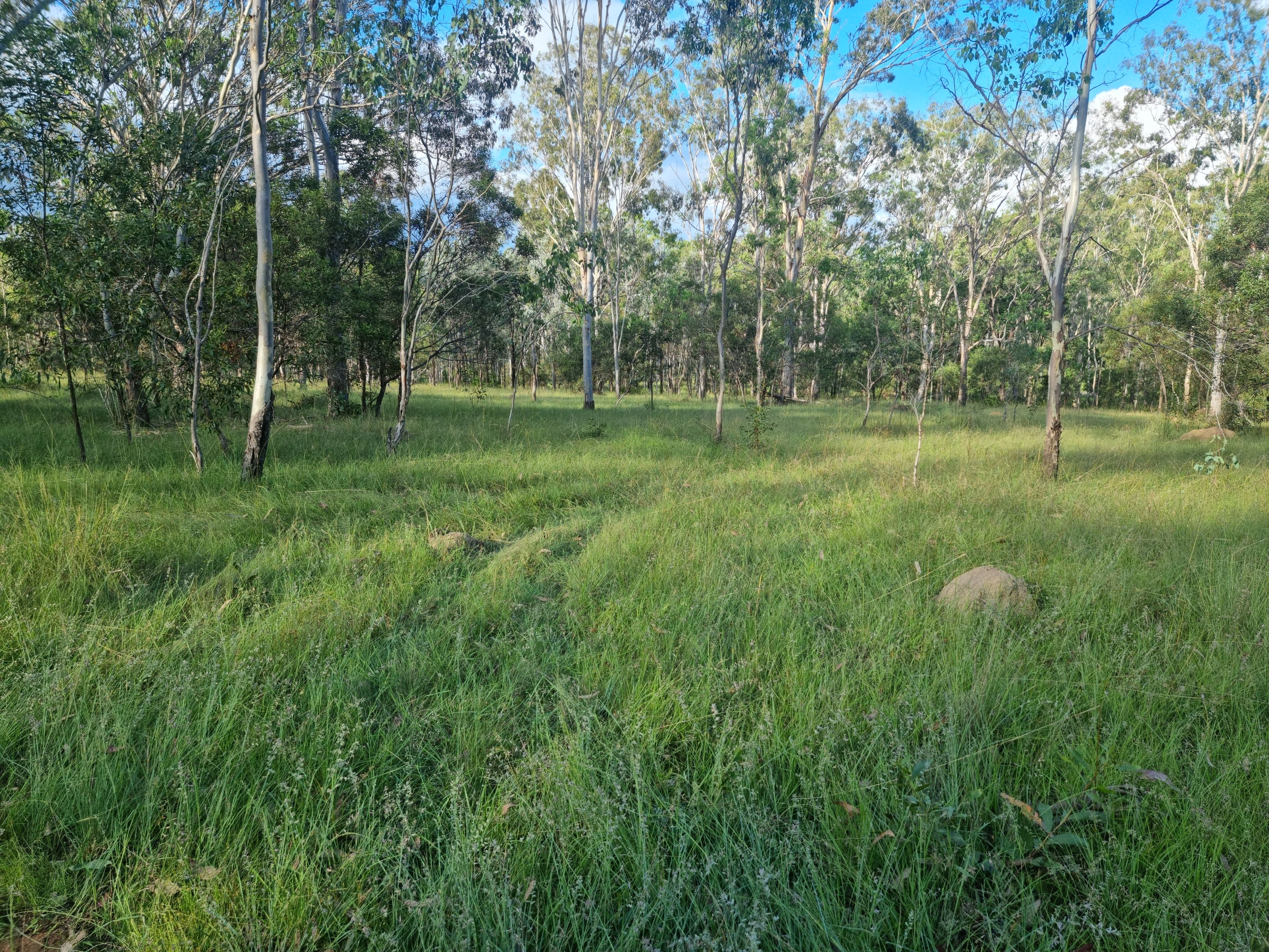 "Another Great Sale by Ian Newson Ray White Mundubbera" 264