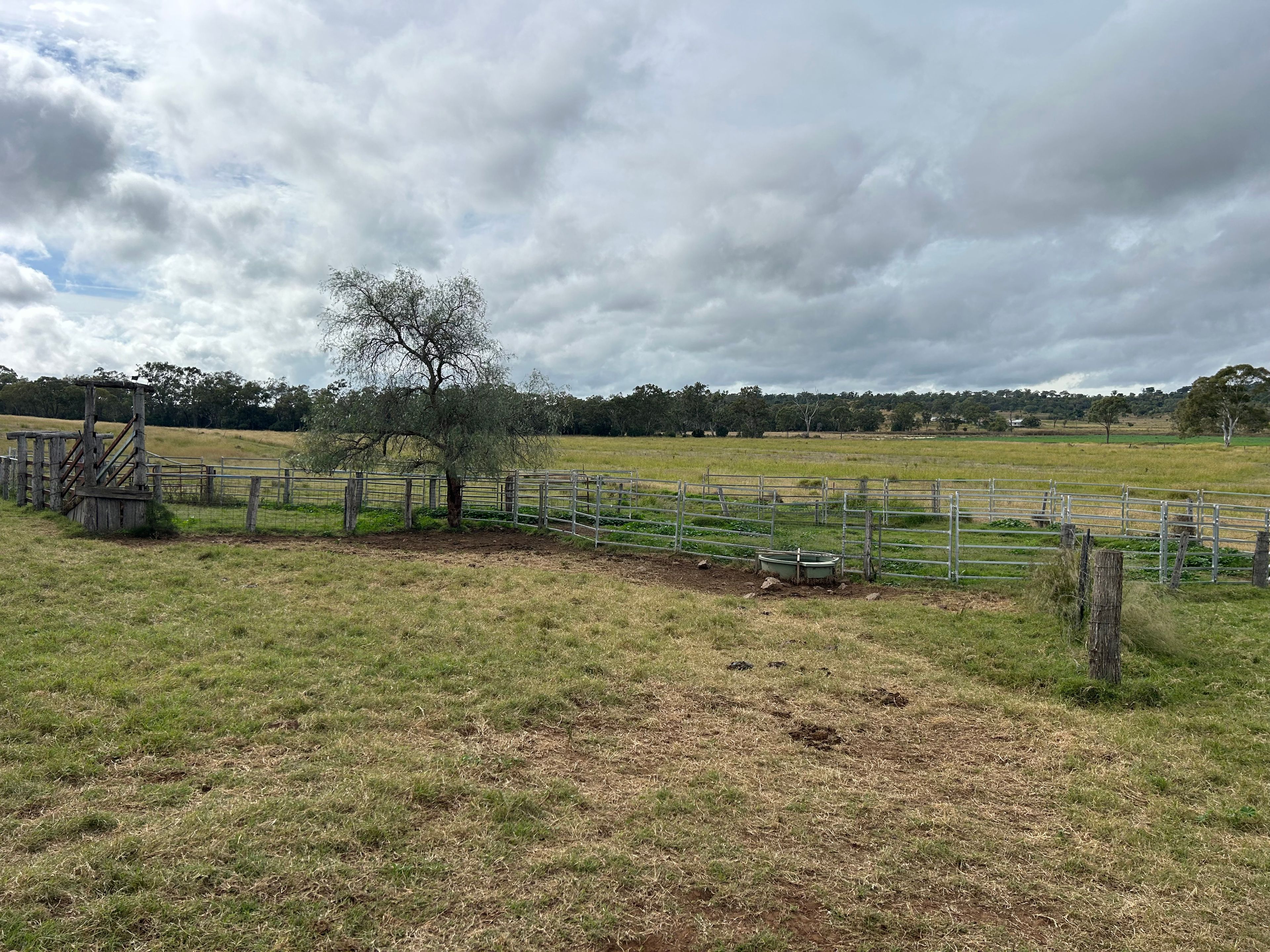 Lot 223 Oakey Cooyar Road, Kulpi, QLD 4352 Sold Rural Property Ray