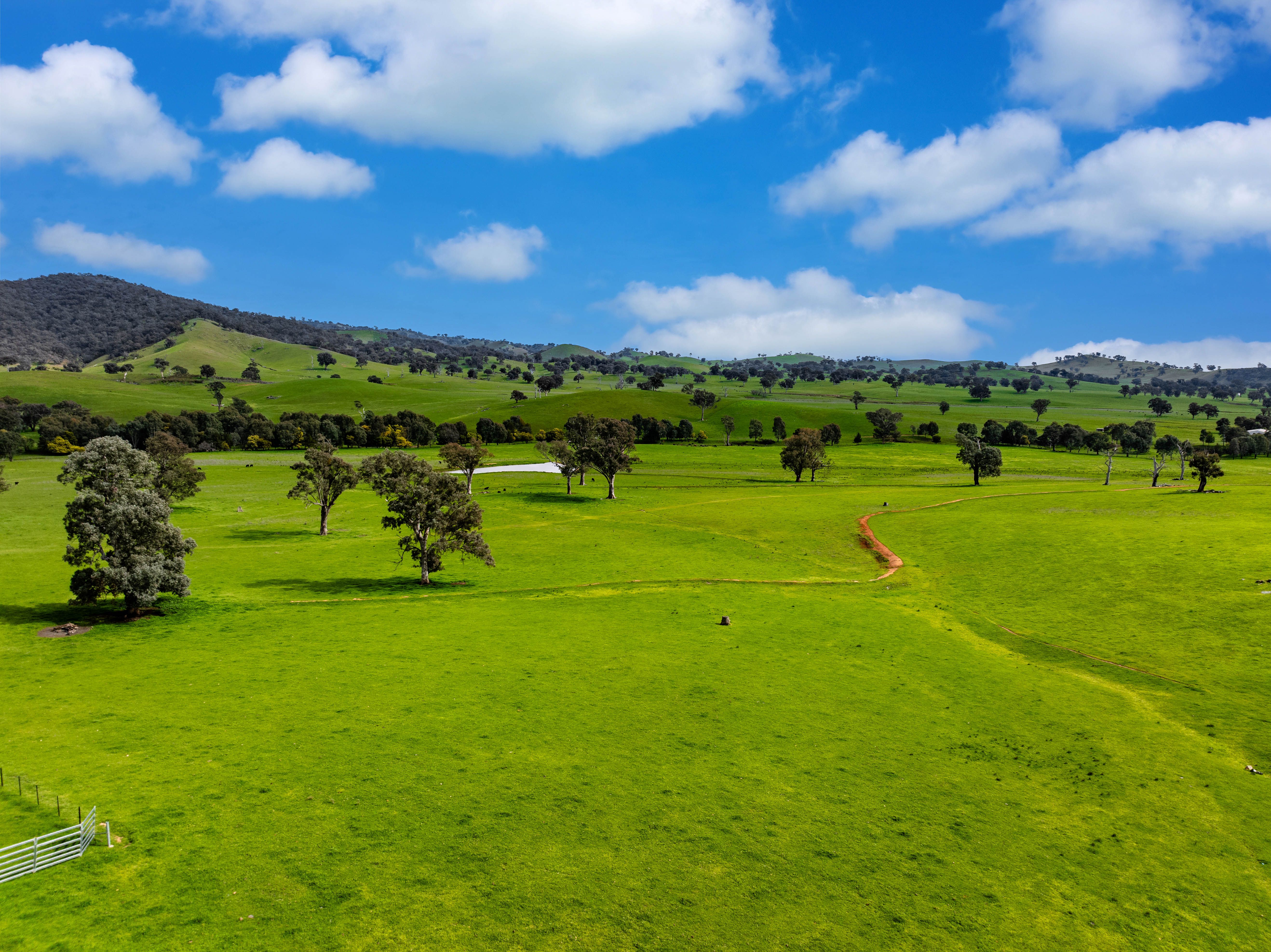 1701 Adelong Road, Gundagai, NSW 2722