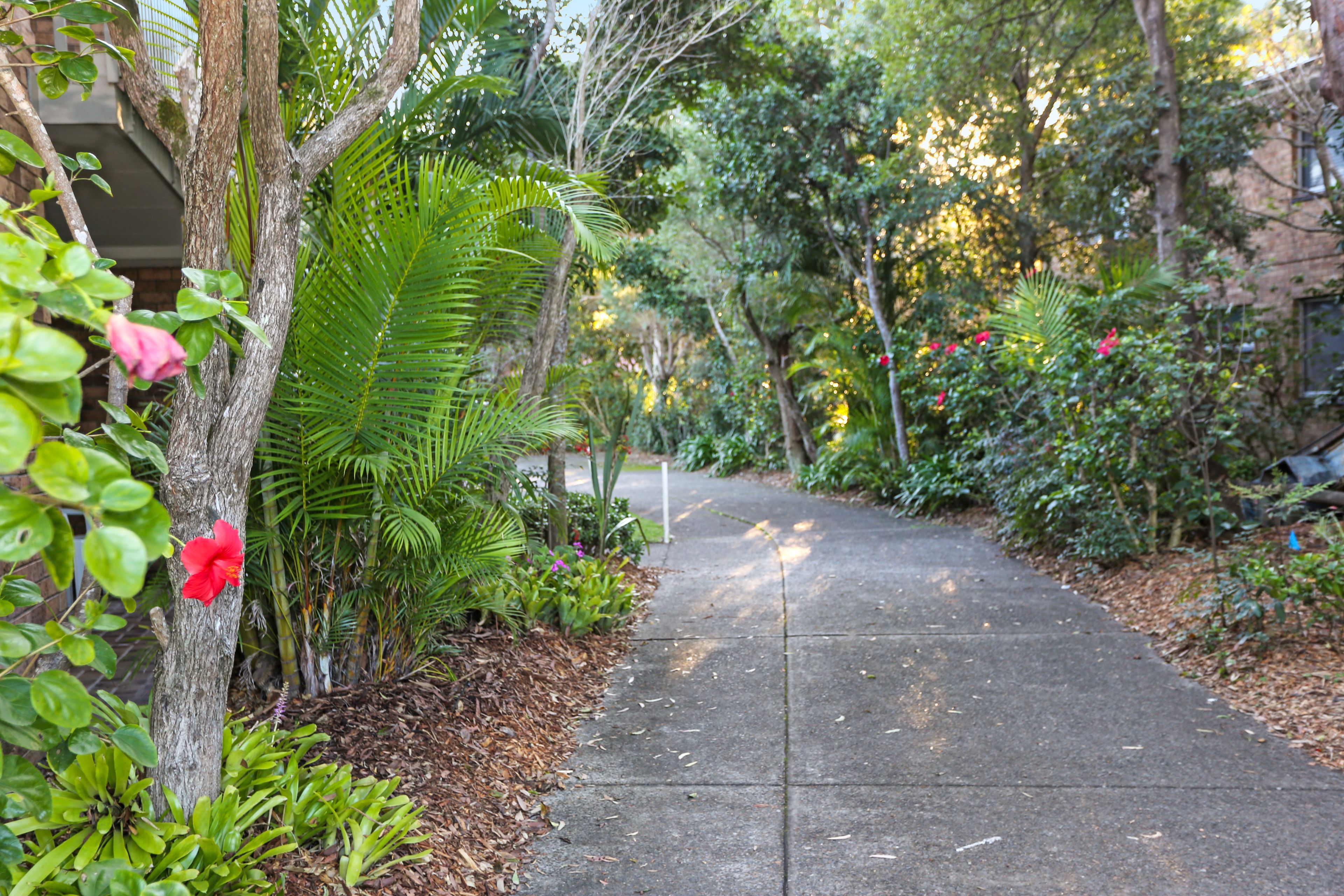 4/17 Kikarra Crescent — photo 15 of 22
