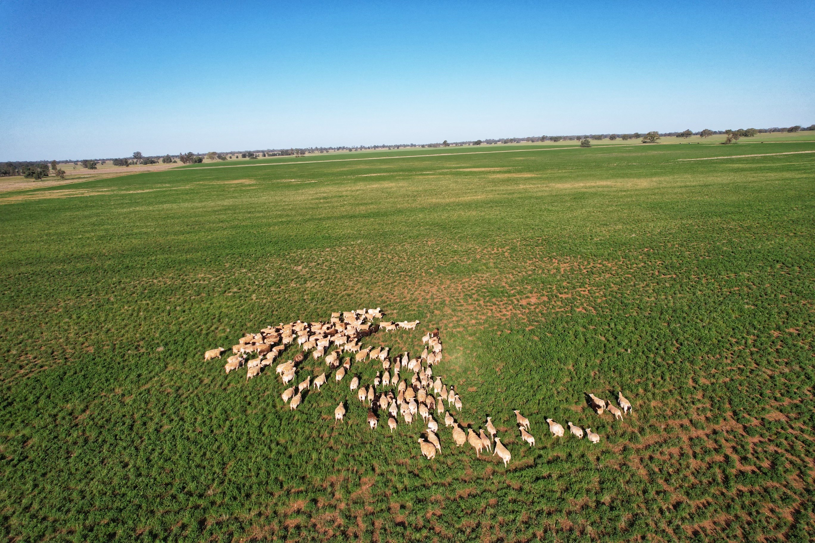 1 Lisgar Lane, Tullamore, NSW 2874