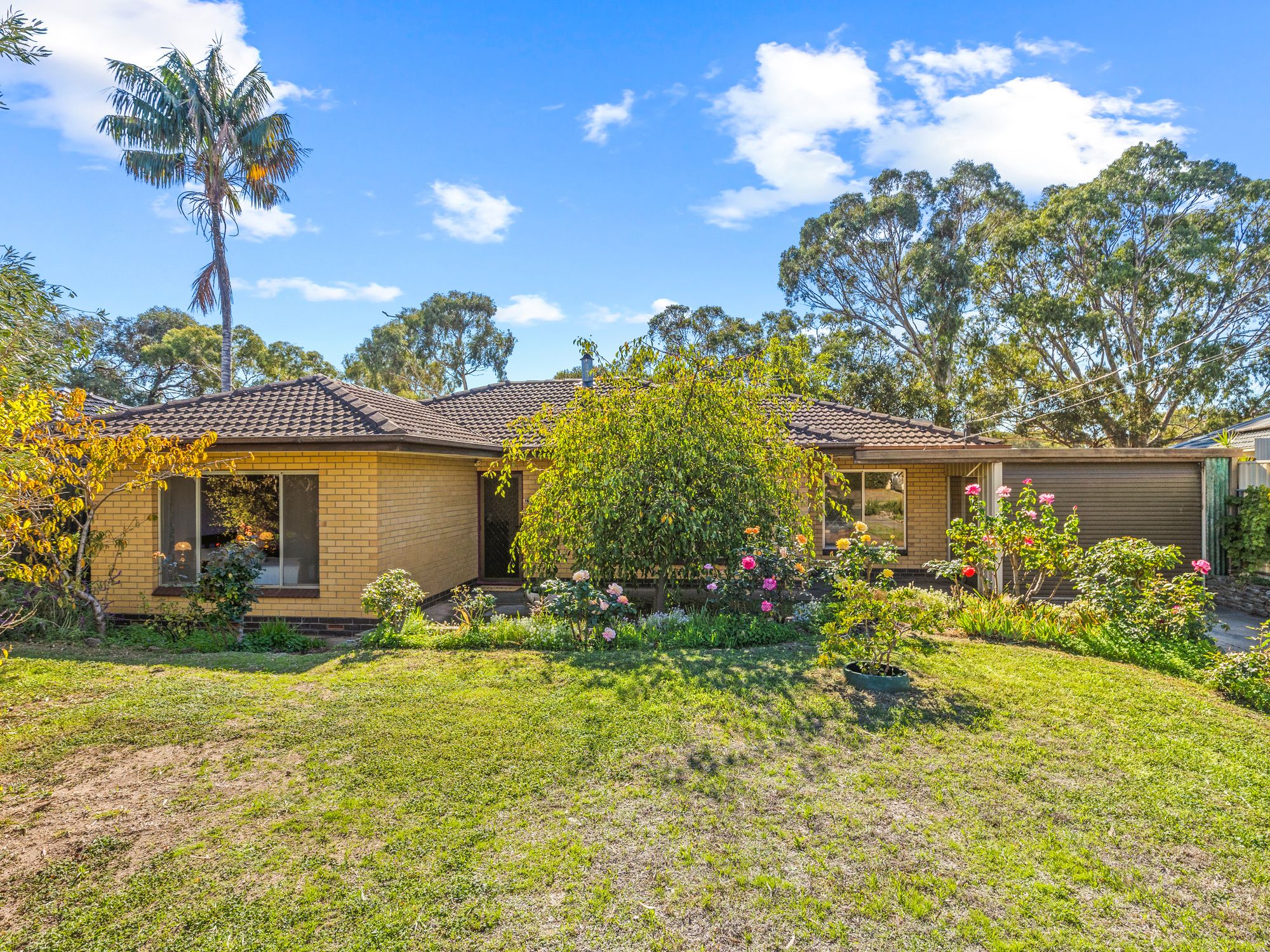 29 Botanic Grove, Hackham, SA 5163