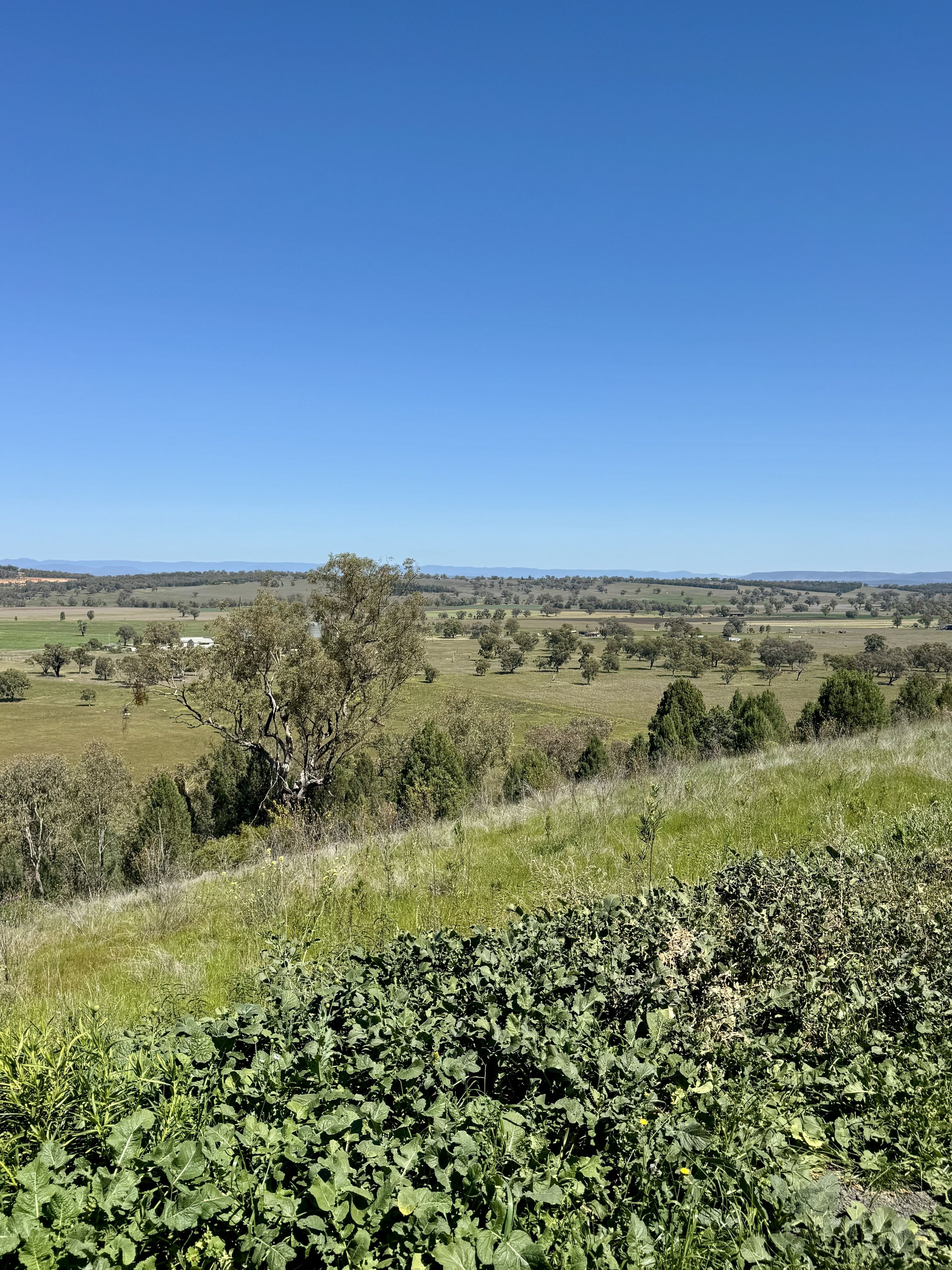 Brand New Luxury Living with Stunning Plains Views — photo 11 of 11