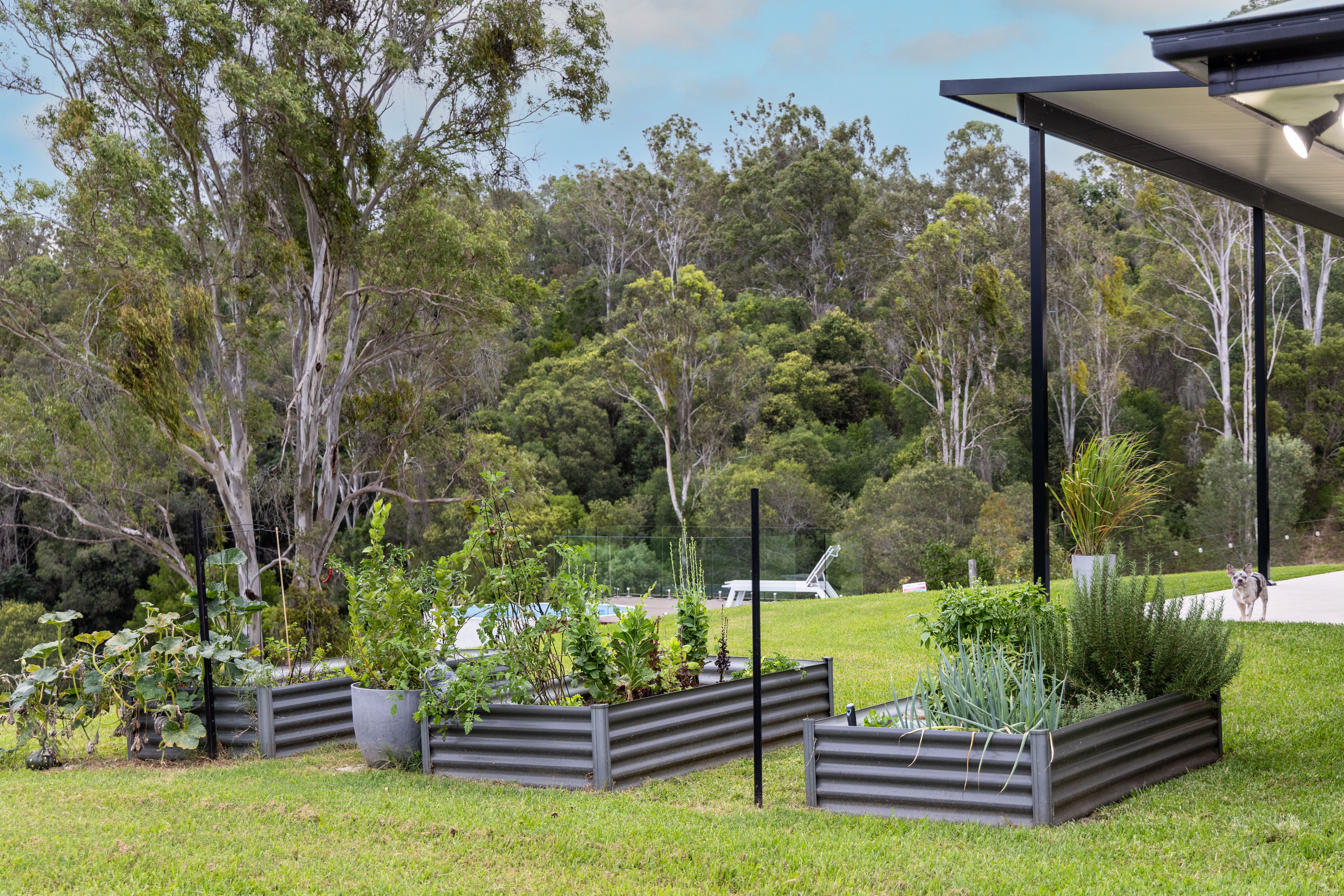 33 acre Hinterland Lifestyle Retreat — photo 4 of 17