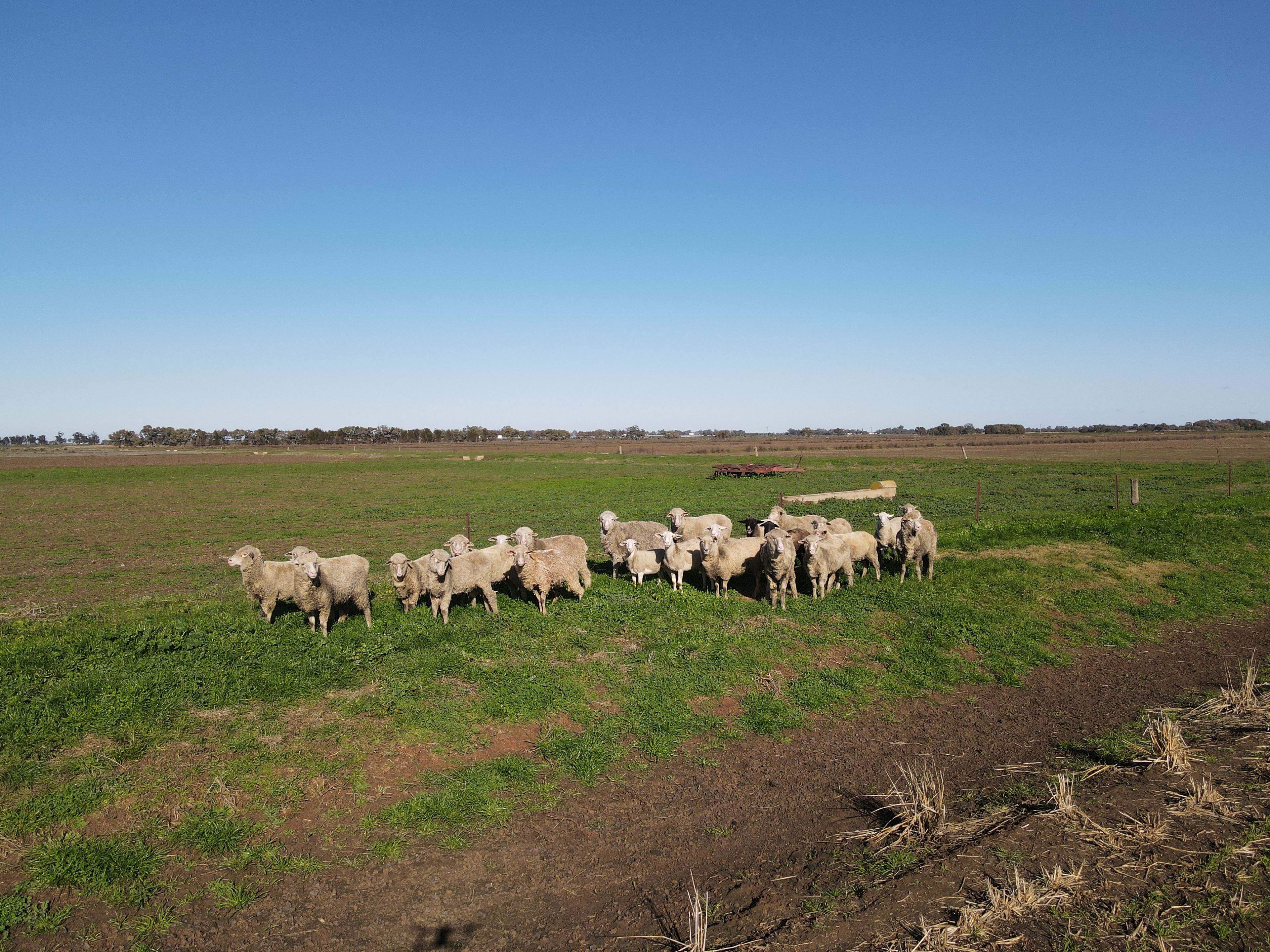 ( Davit Farm ) Cashmere Road — photo 5 of 17