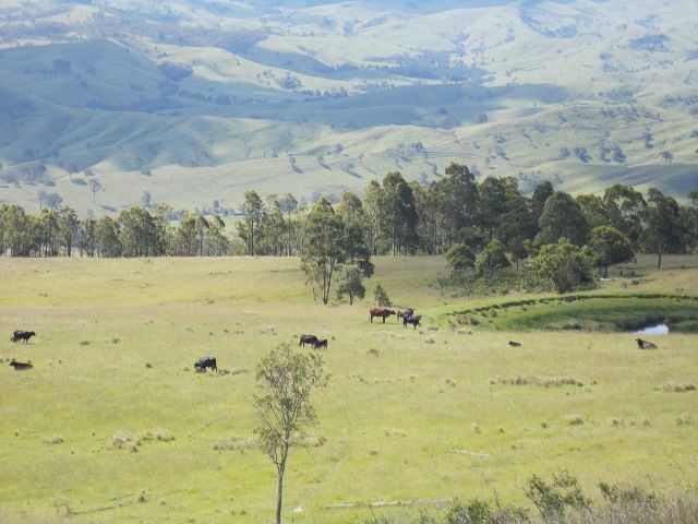 1472A Glendonbrook Road, GLENDON BROOK, NSW 2330