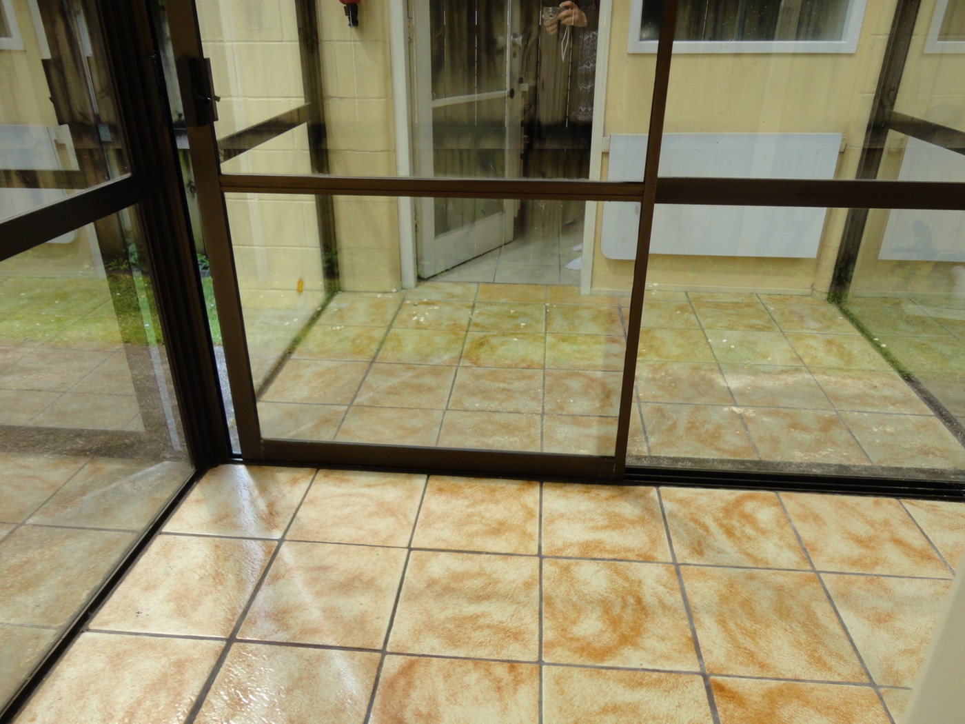 2/6 Innisfree Drive, Ellerslie, Auckland City