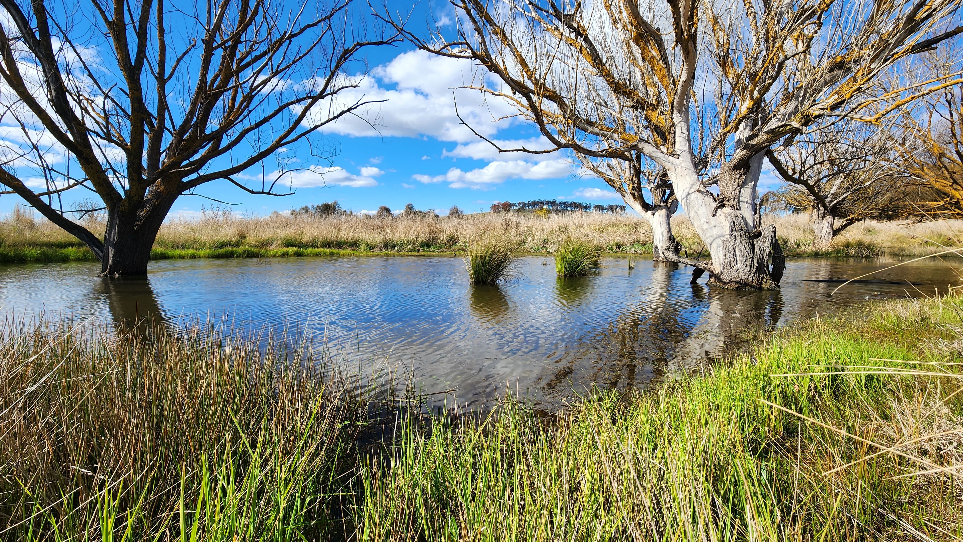 1084 Springrange Road, Springrange, NSW 2618 - Sold Land - Ray White ...