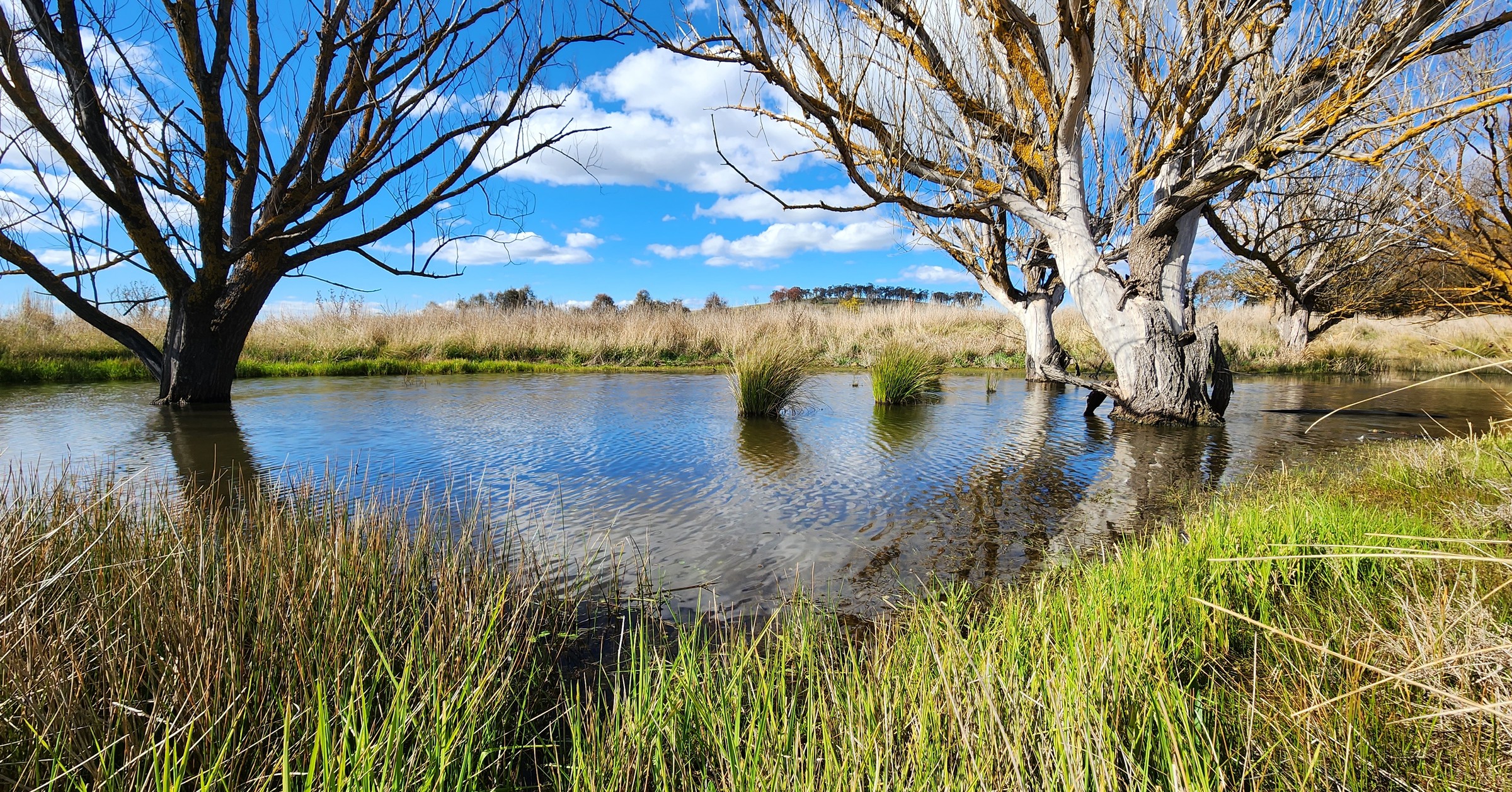 Springrange 1084 Springrange Road, Springrange, NSW 2618 - Sold Land - Ray White ...