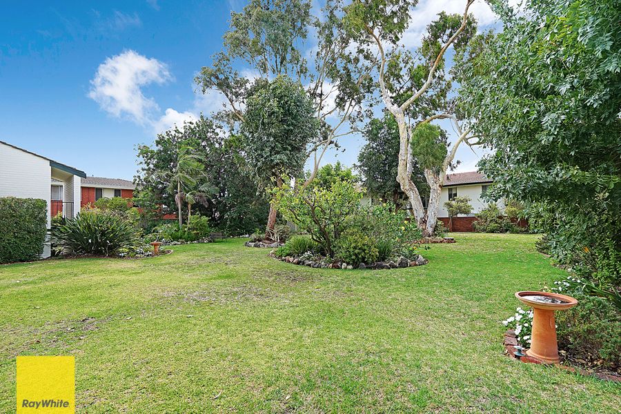 4/379 Hector Street, Yokine, WA 6060