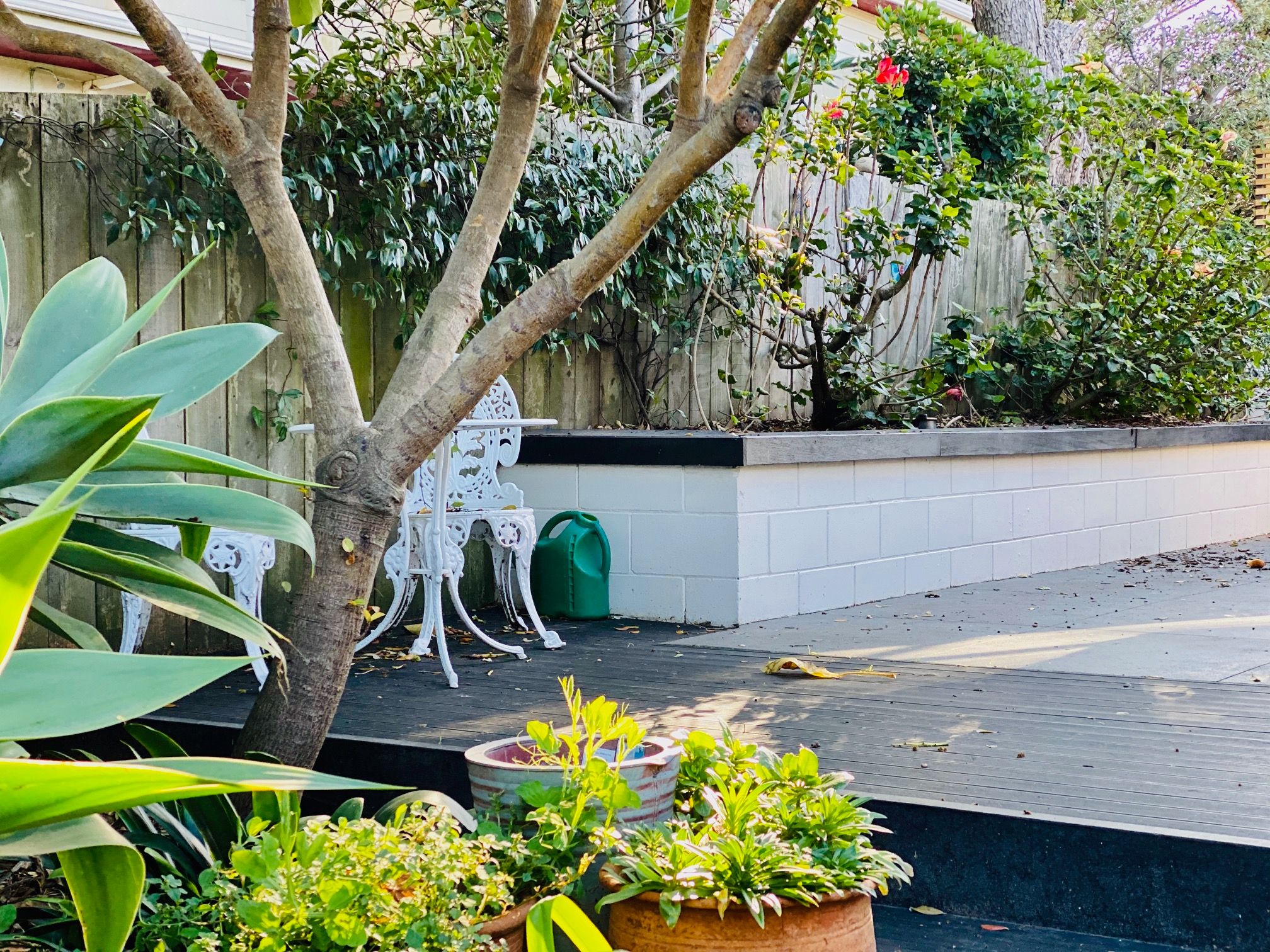 50C Te Ngaio Road, Mt Maunganui, Tauranga City