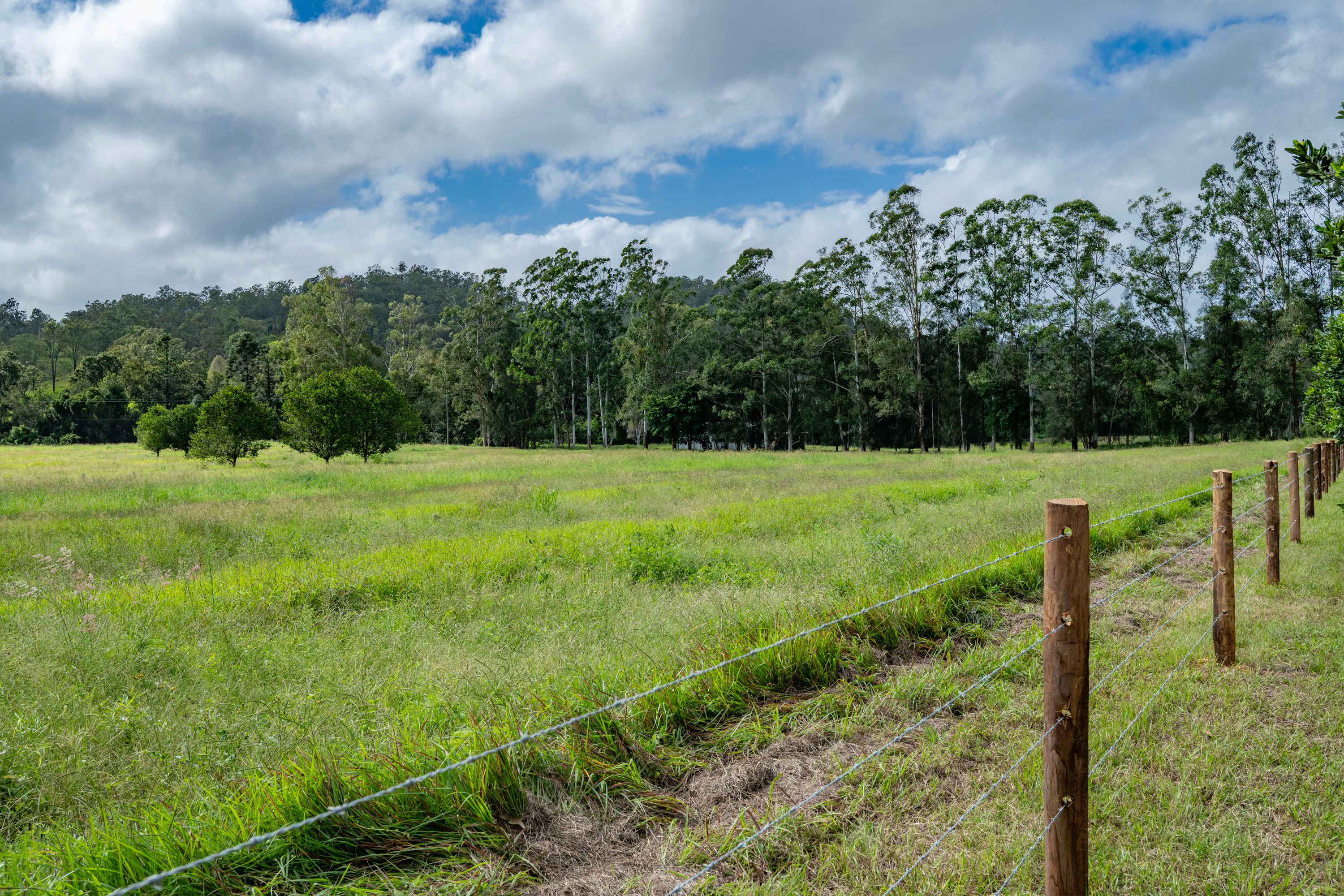 287A Marys Creek Road — photo 16 of 30