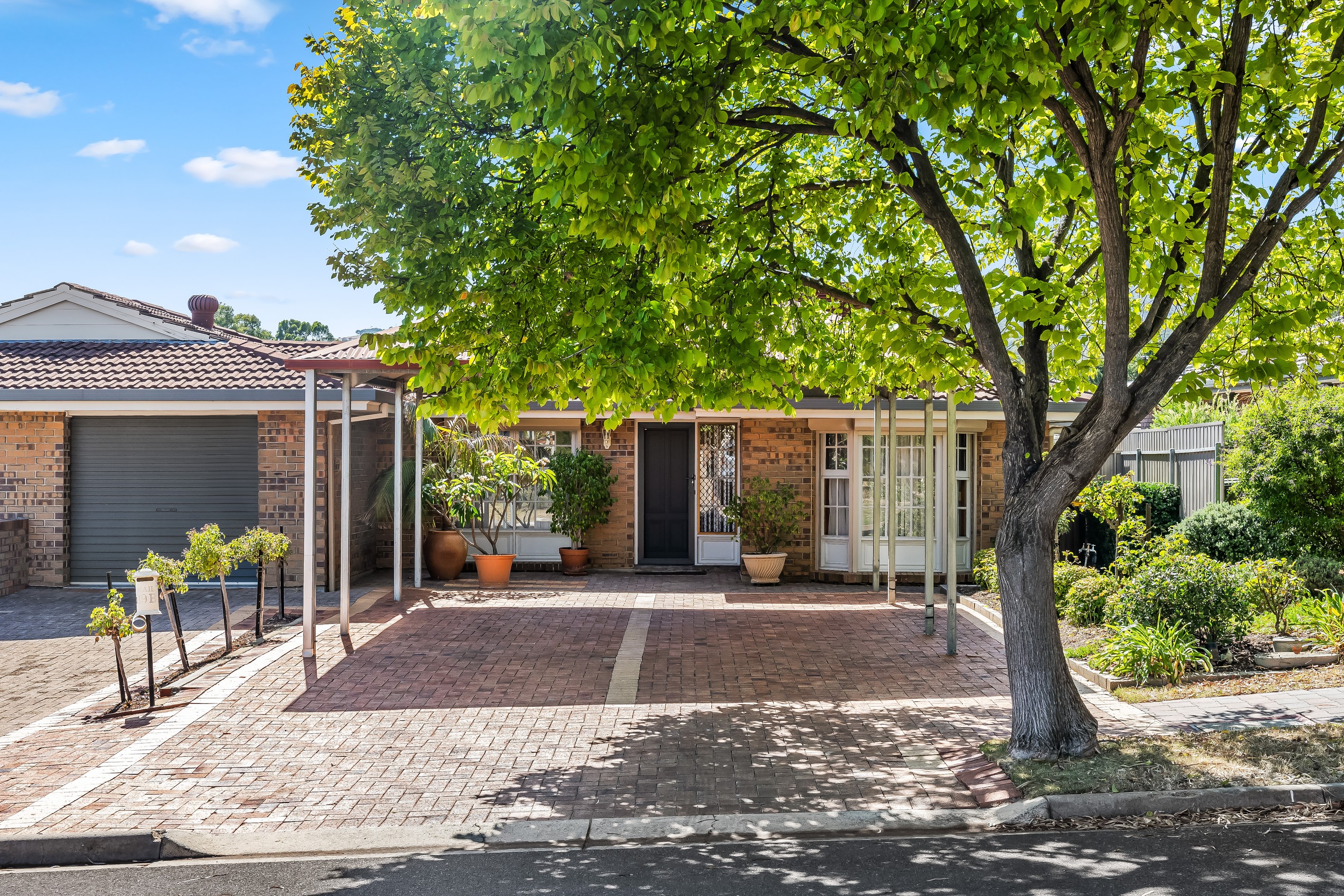 19B Ridgefield Avenue, Paradise, SA 5075