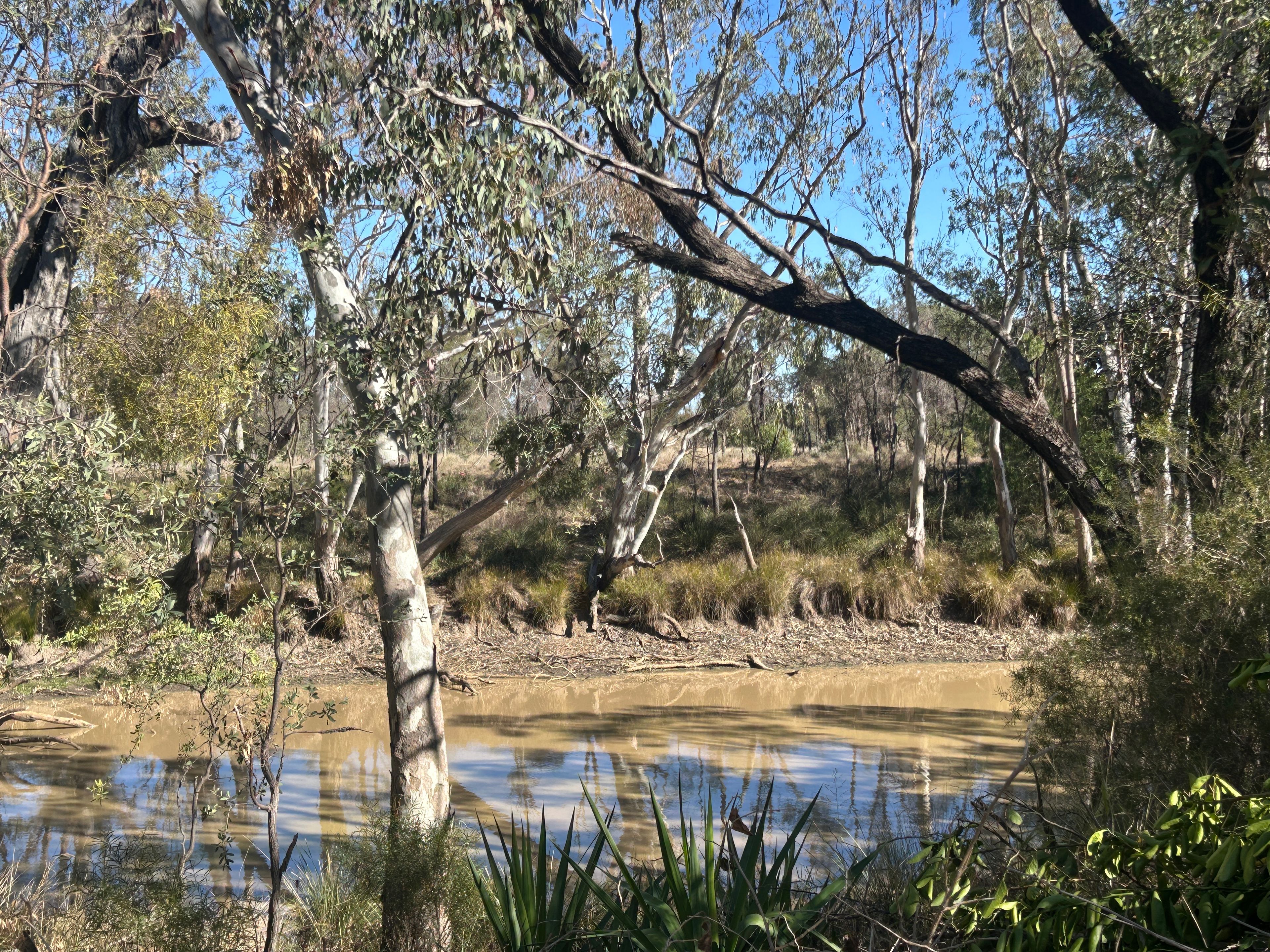 3770 Condamine Meandarra Road — photo 16 of 24