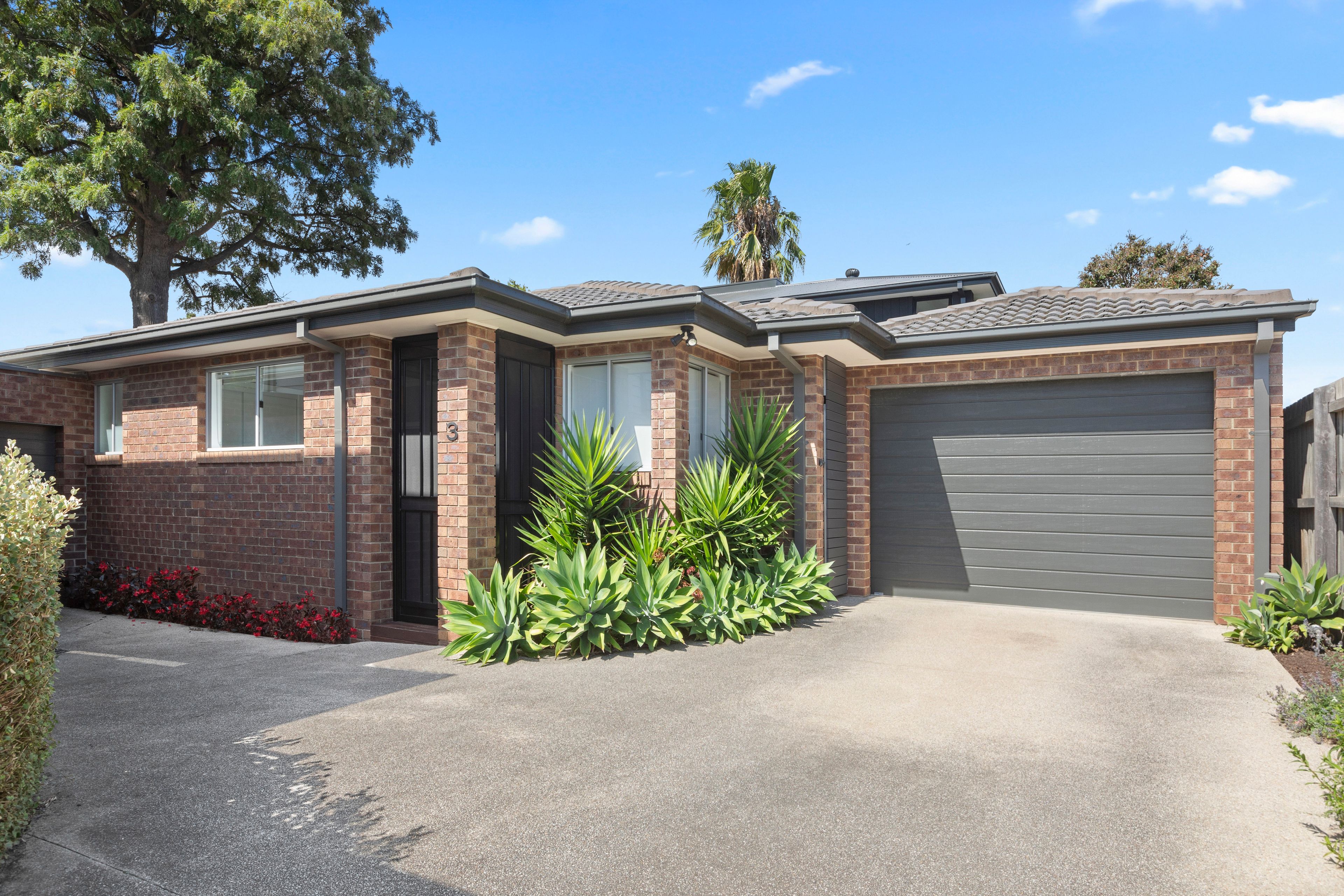14 Jack Road, Cheltenham VIC 3192