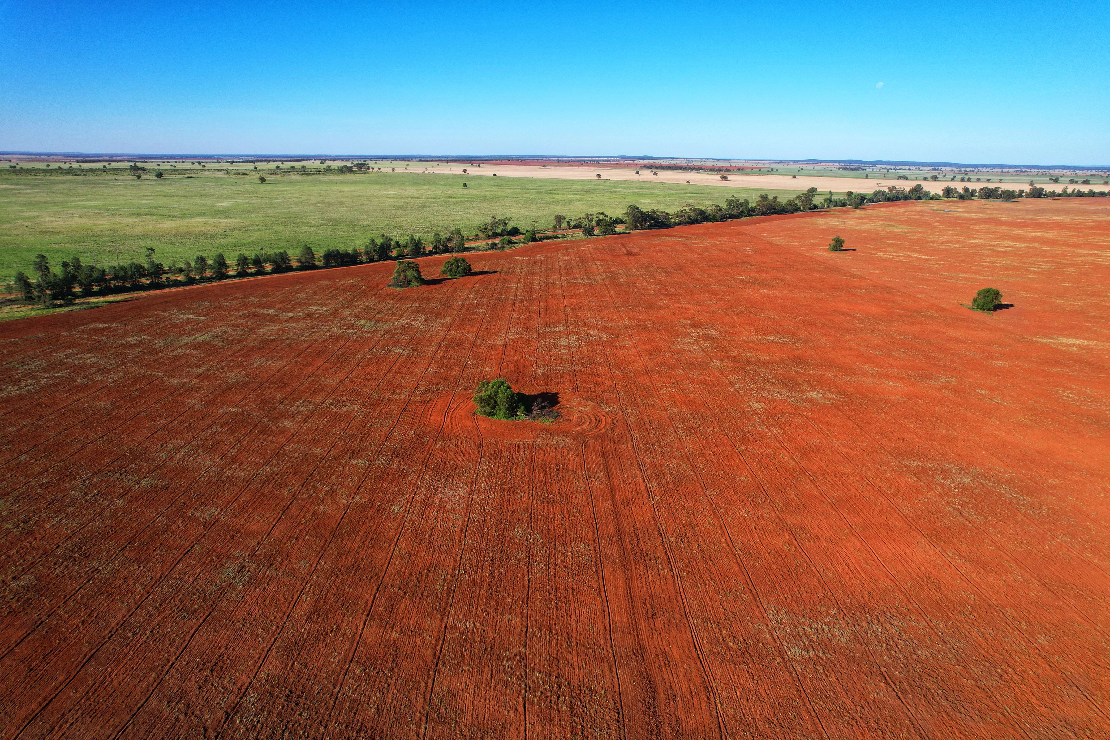 981 Myamley Road, Tottenham, NSW 2873 Rural Cropping Property for