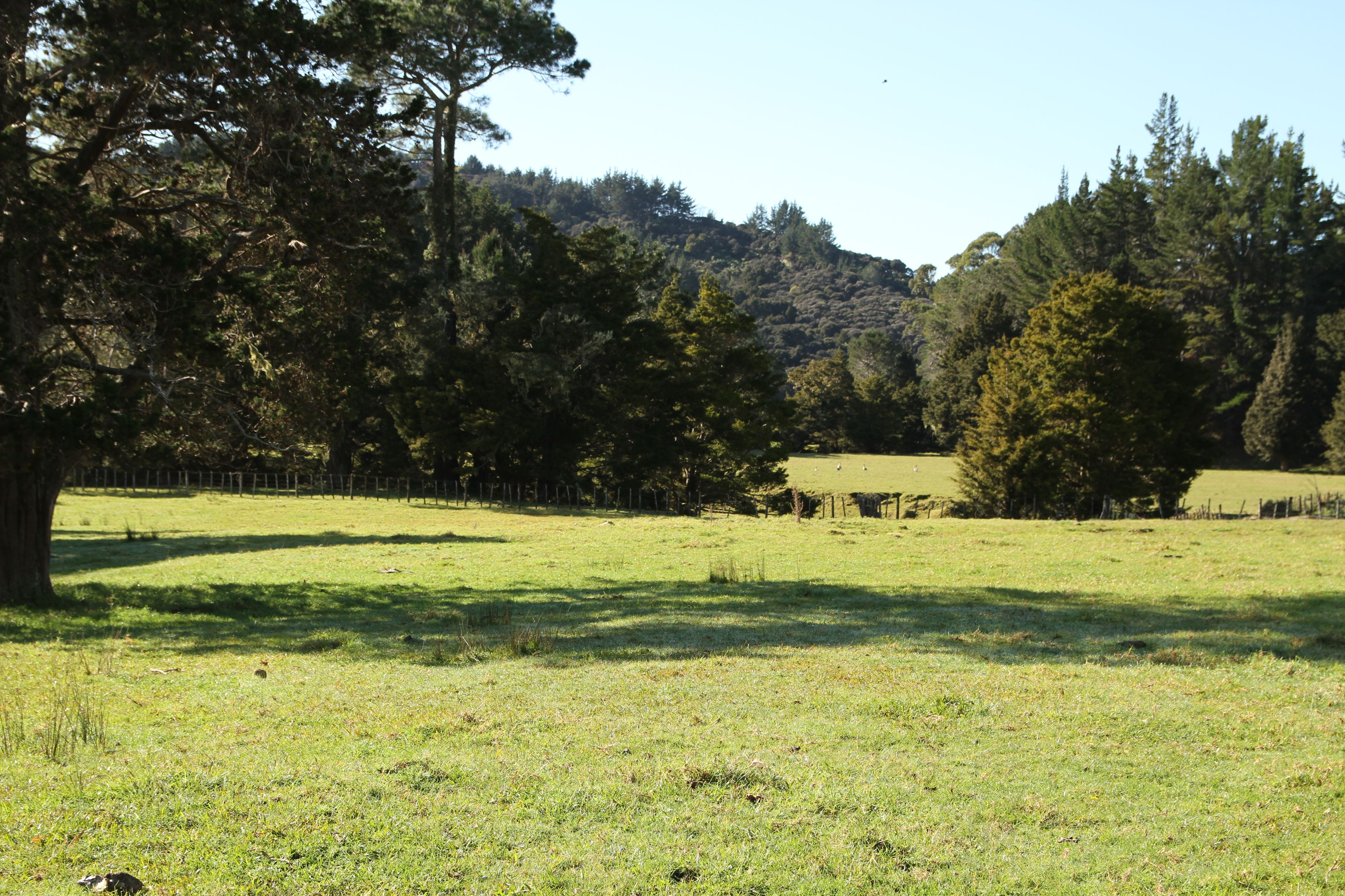 140 Kenana Road, Mangonui, Far North District