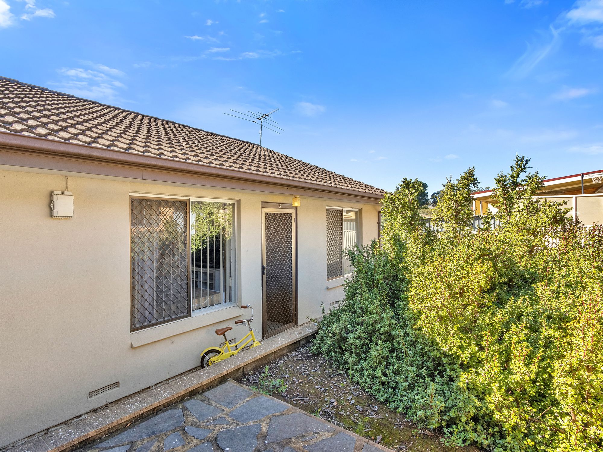 3/10 Rudall Street — photo 3 of 15