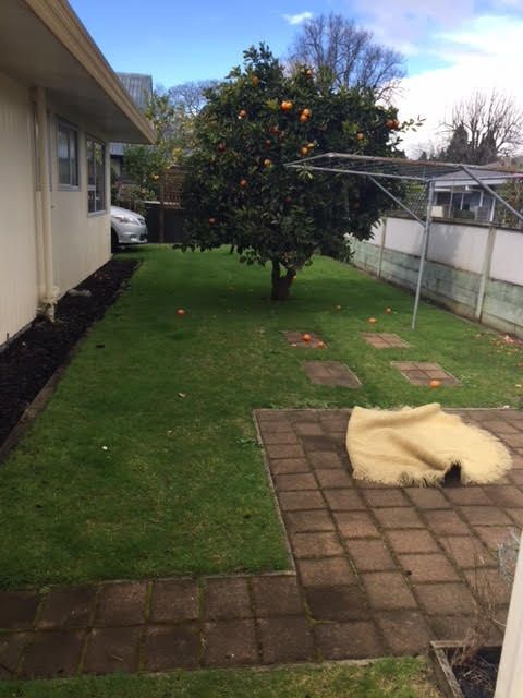 1/531 Devonport Road, Avenues, Tauranga City