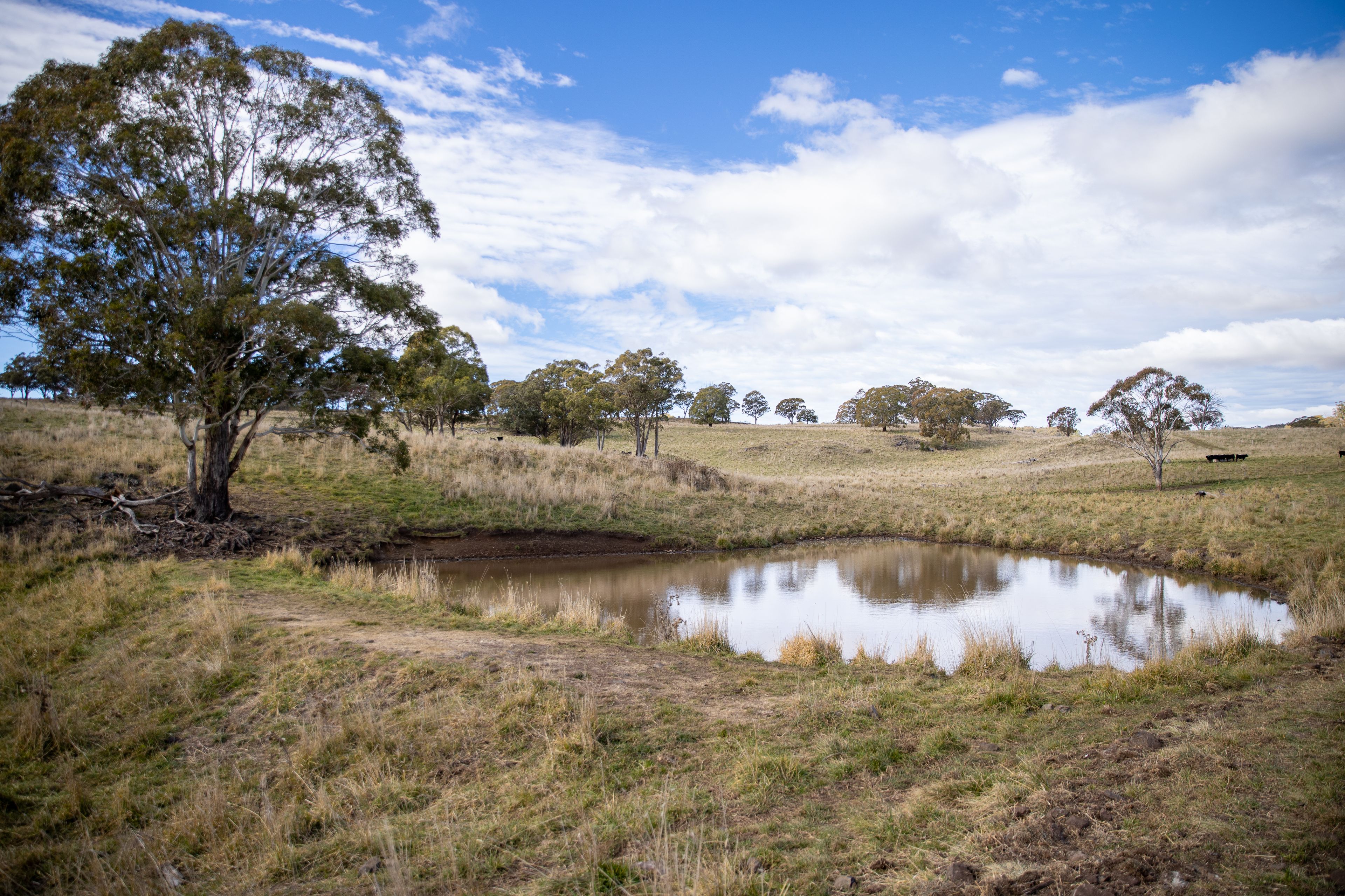 "Koryphe" 217 Summers Road, Maybole, NSW 2365 Sold Rural Mixed