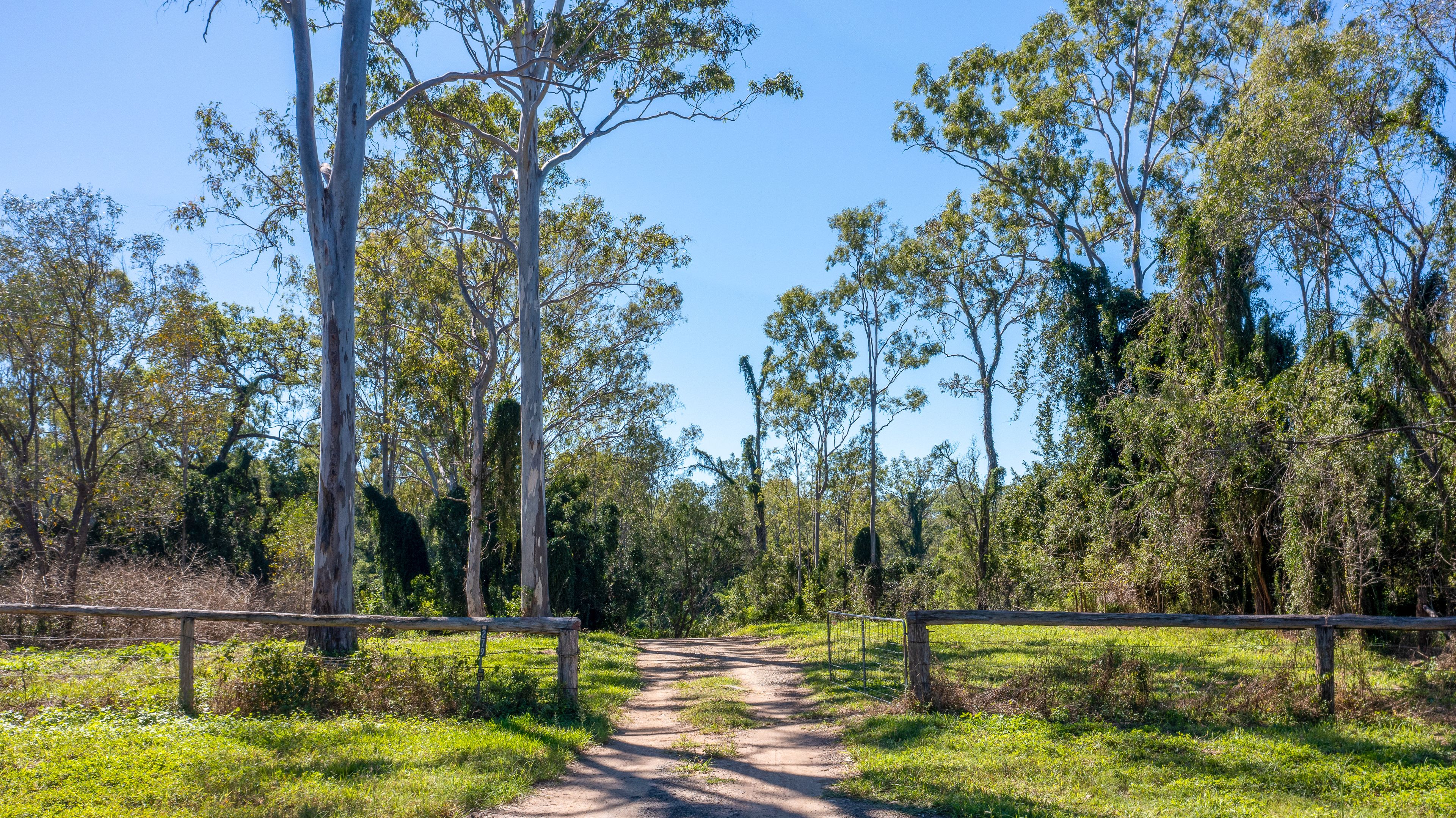 279 Myers Road, Moolboolaman, QLD 4671 Rural Cropping Property for Sale Ray White Bargara