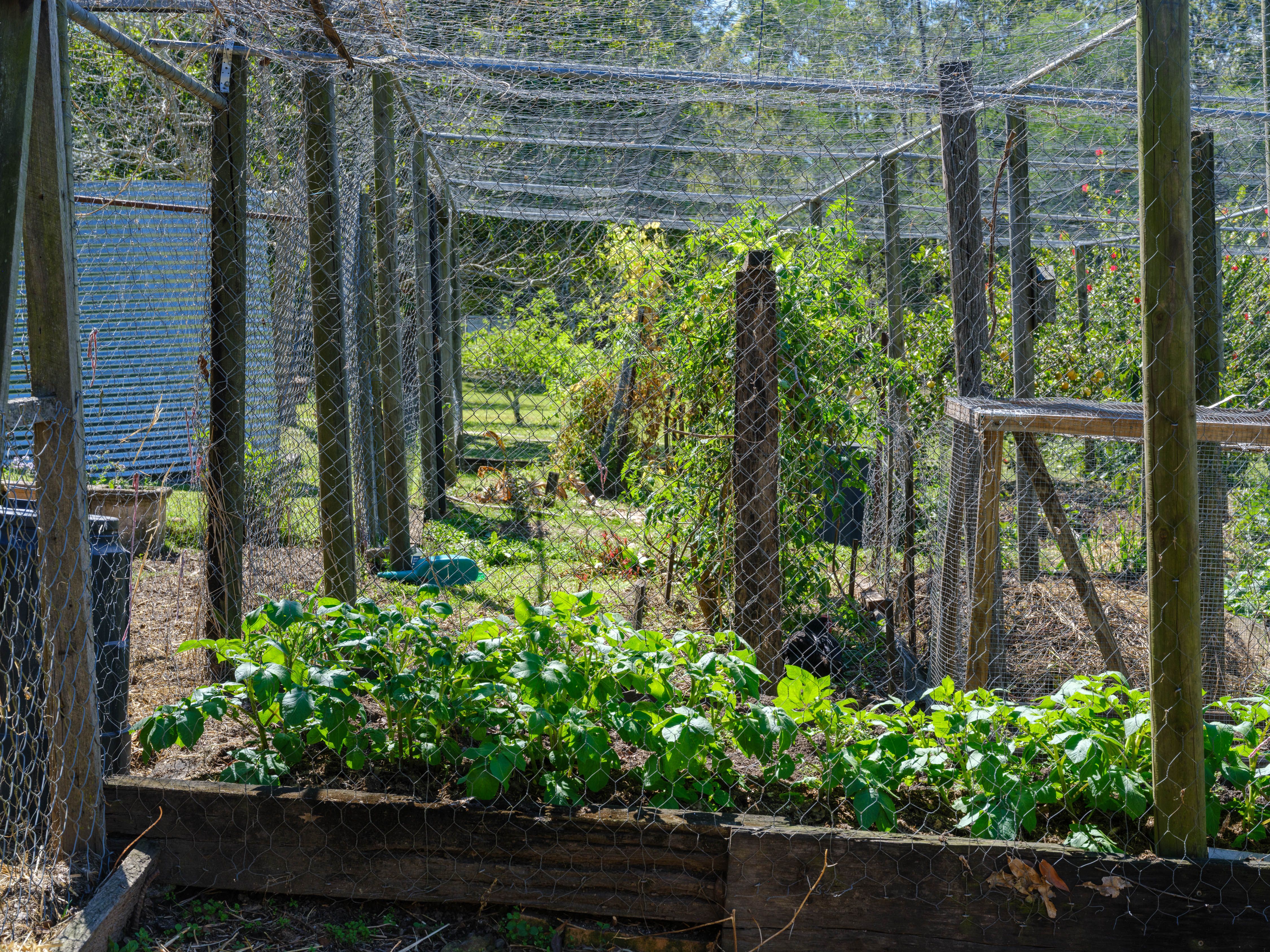 'Thytheholme' - Pringles Farm — photo 17 of 26