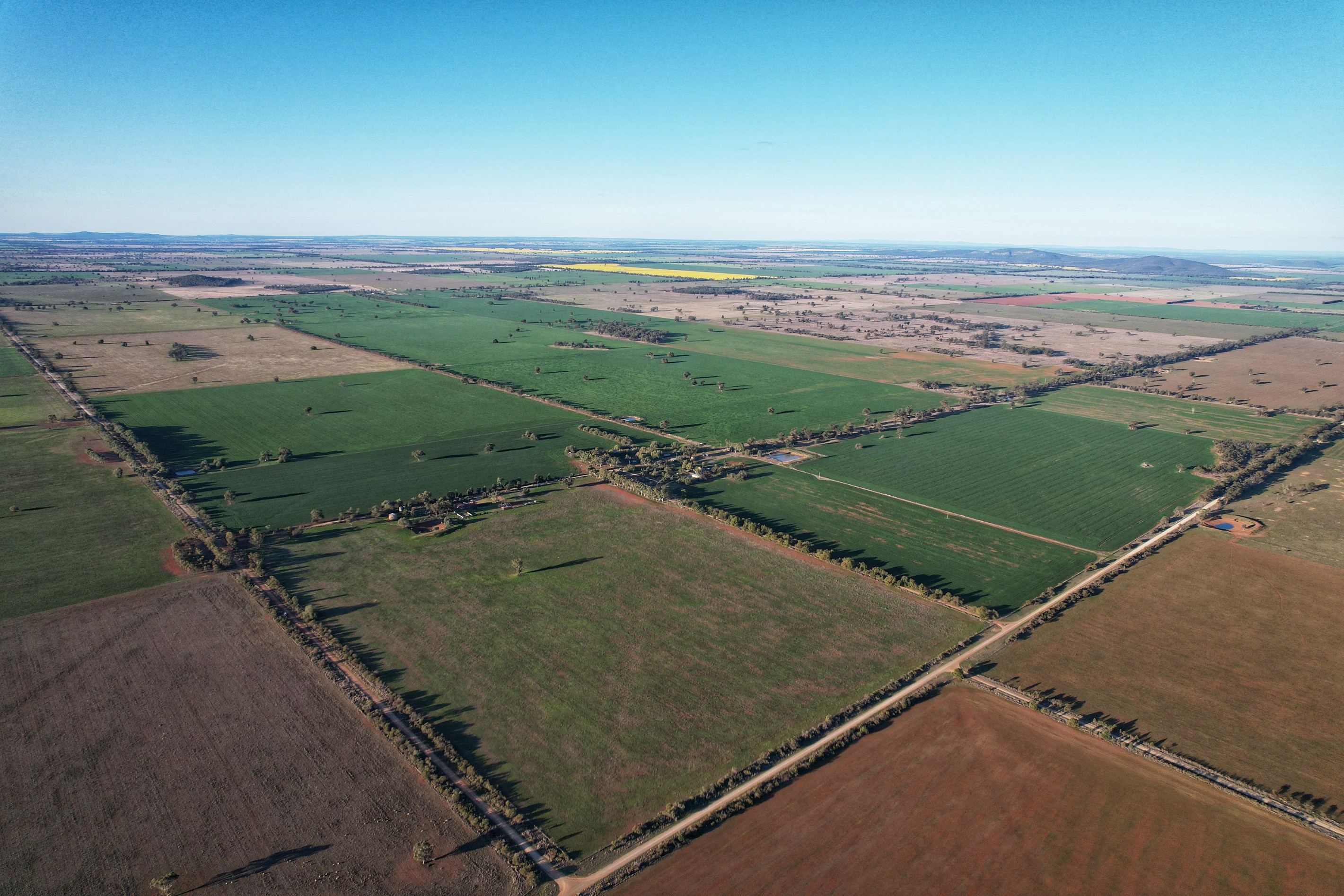 962 Burkes Road, Ootha, NSW 2875