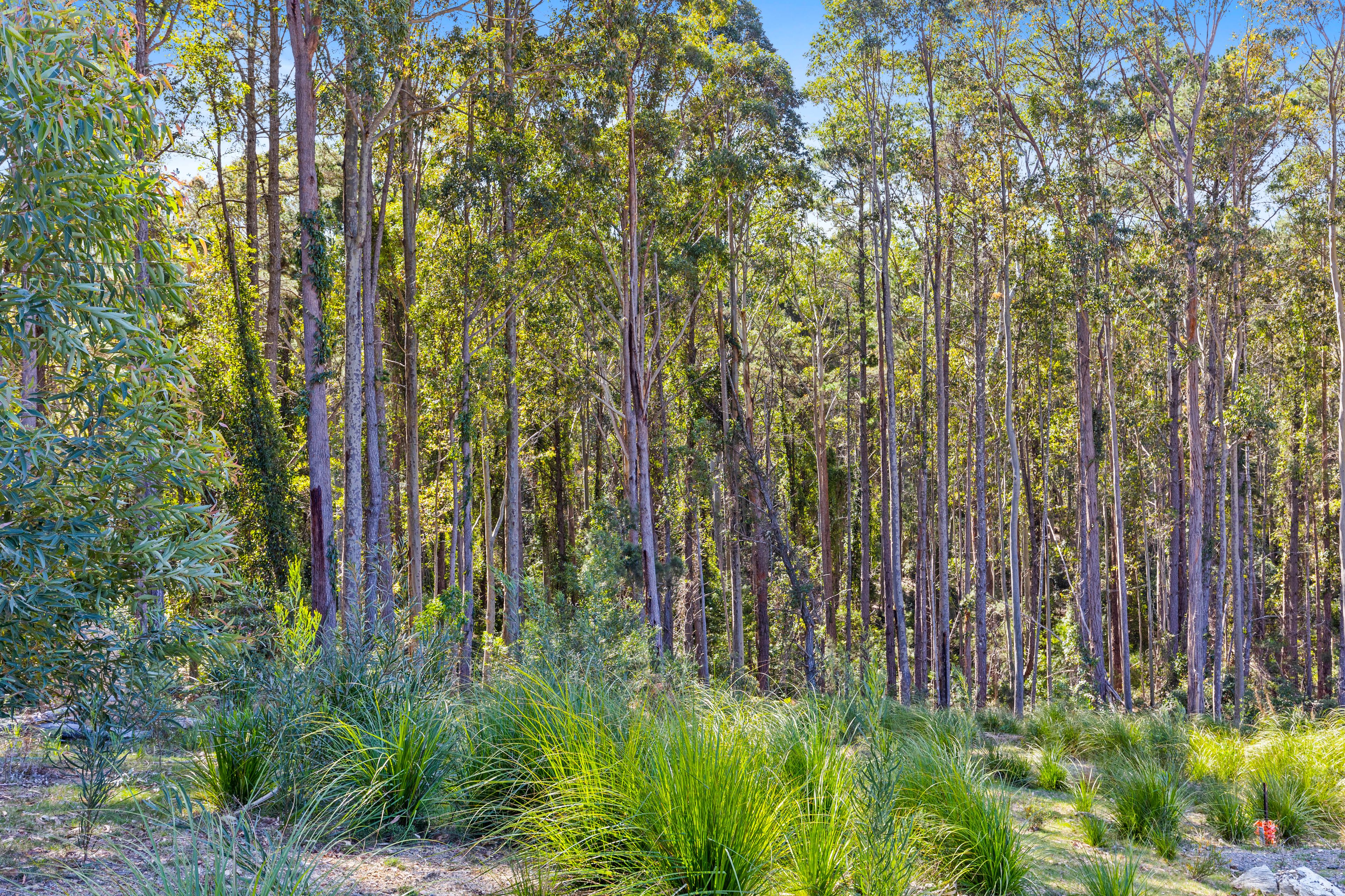 Lot 31/Lot 67 Northcove Road, Long Beach, NSW 2536