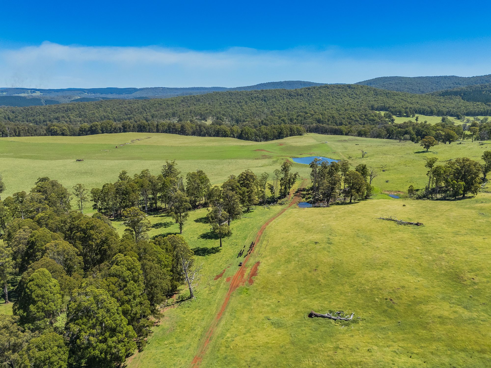4590 Brackendale Road, Nowendoc, NSW 2354 Sold Rural Mixed Farming