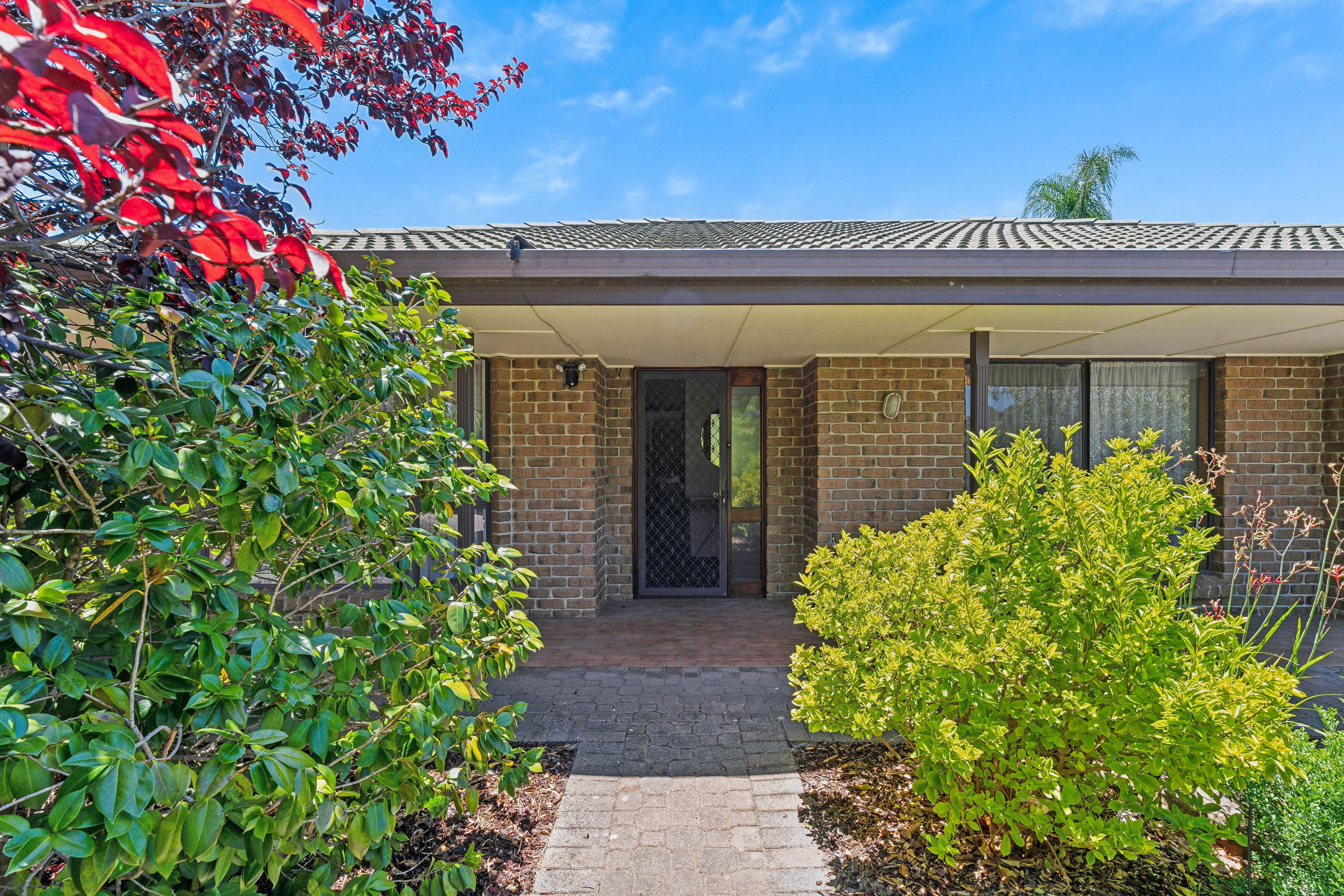 11 Angela Close, Flagstaff Hill, SA 5159